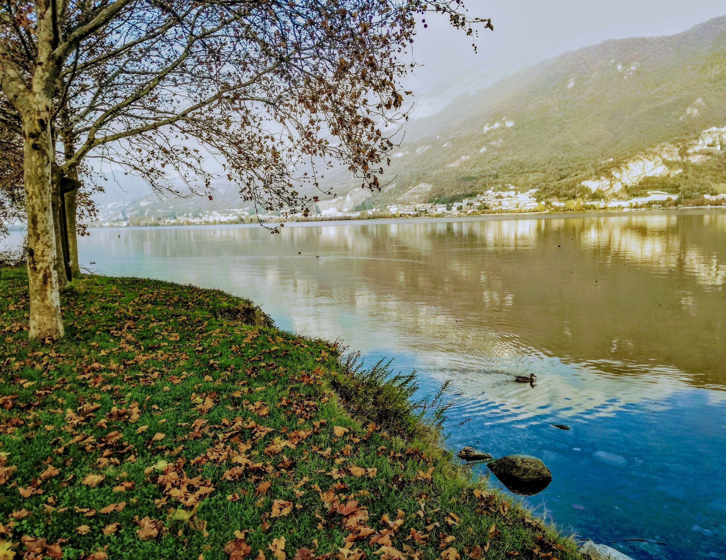 Bucolic vision...