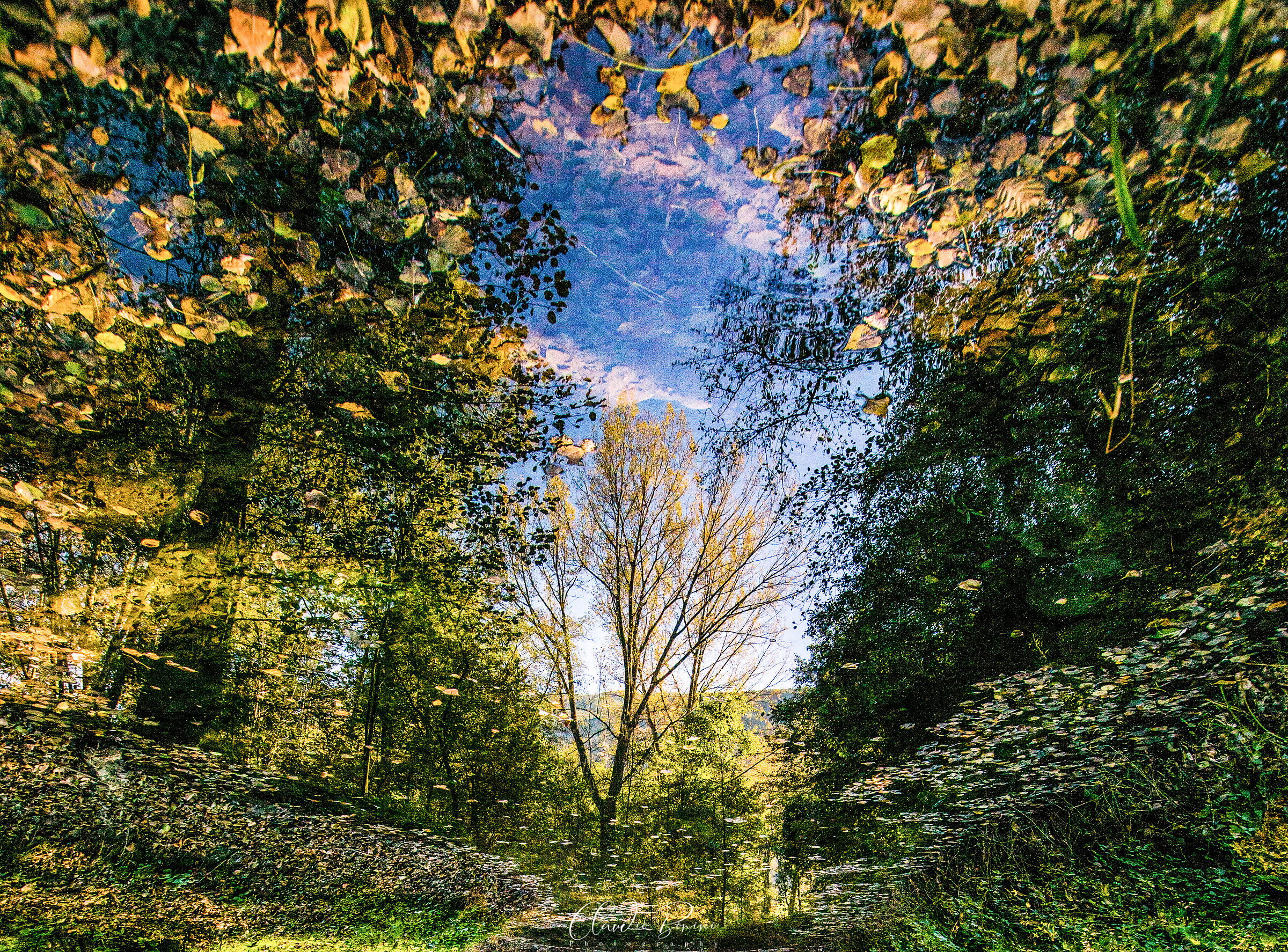 riflessi d'autunno 2