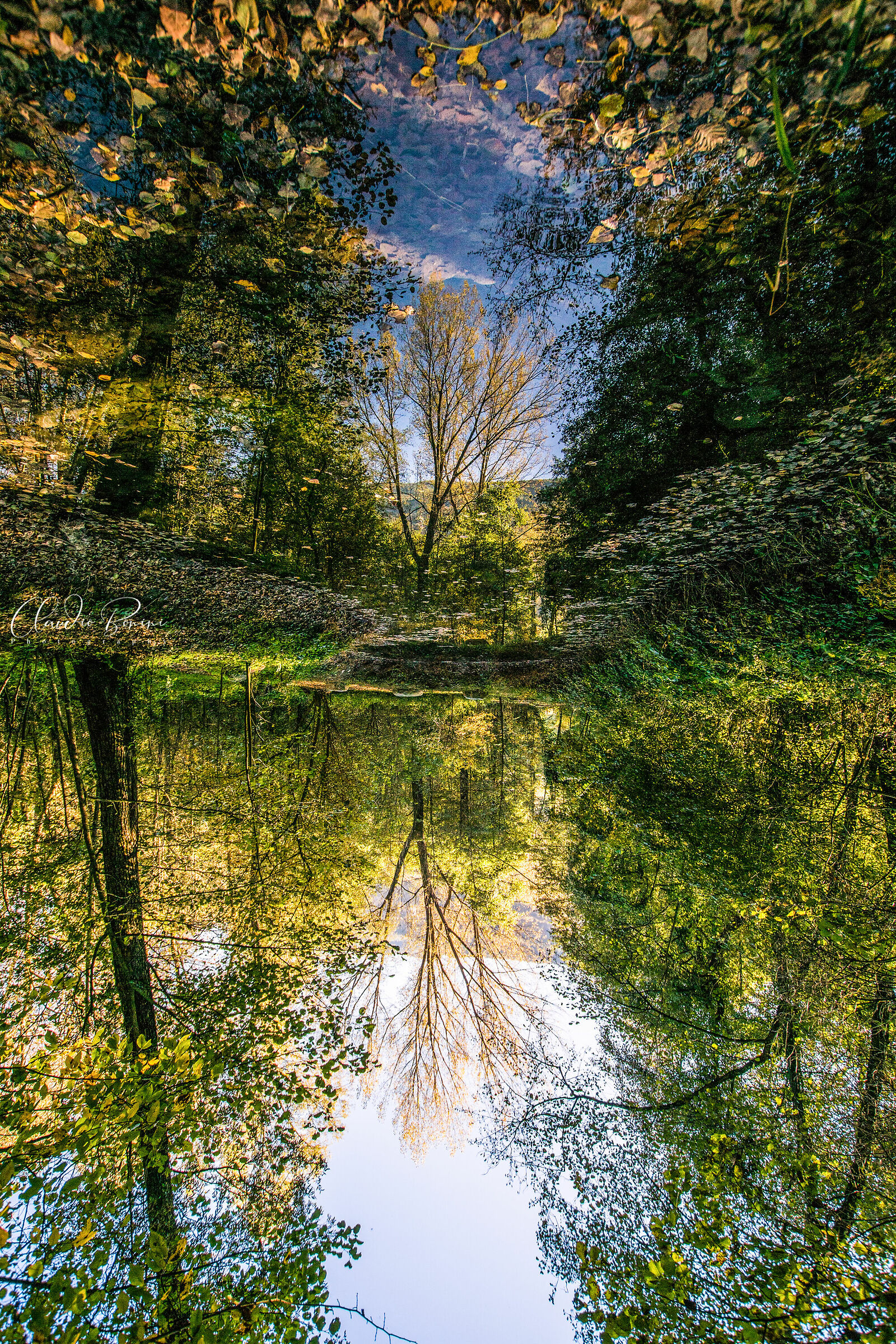 Autumn reflections 1