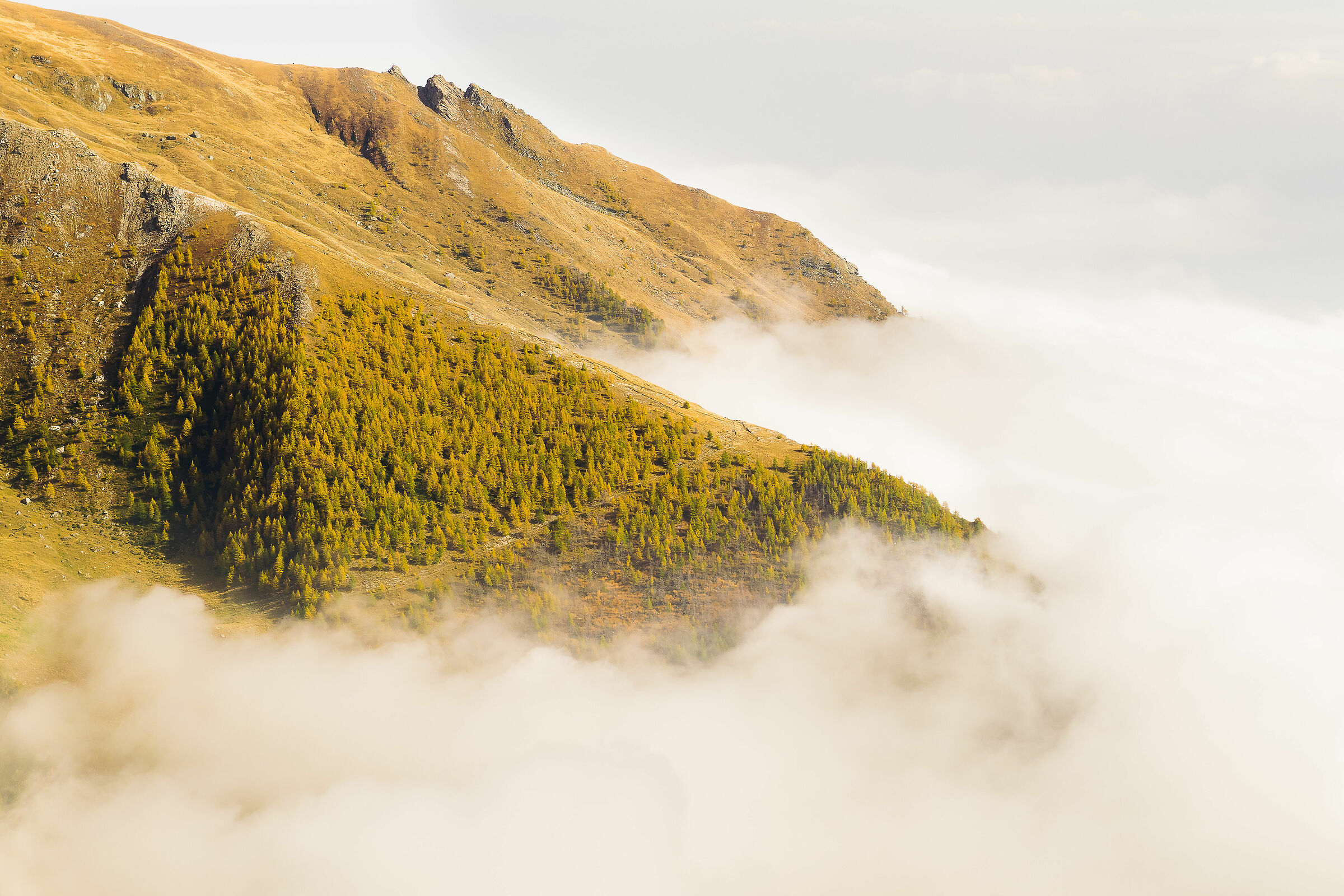 Autumn has sprung up