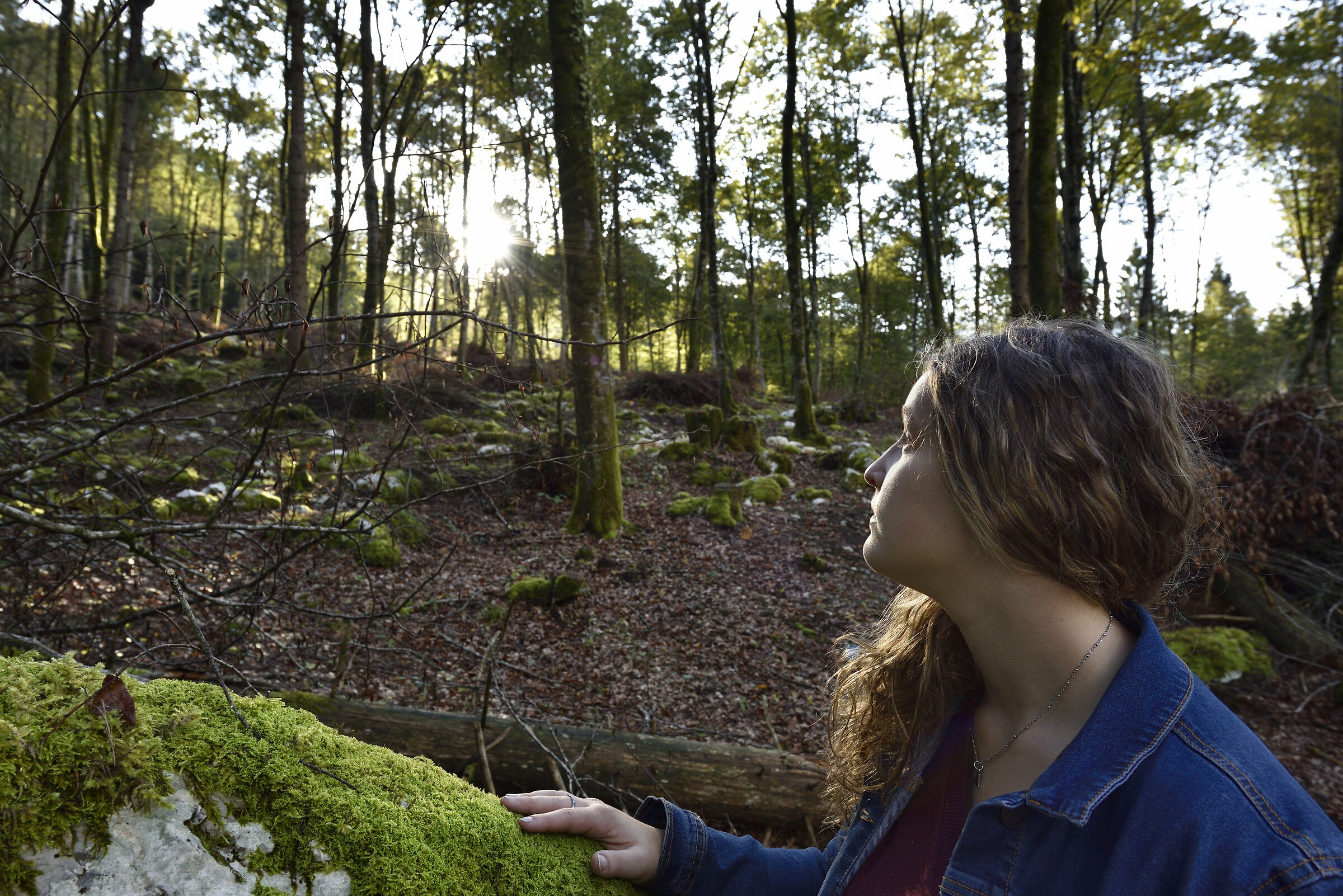 affrontando il tramonto