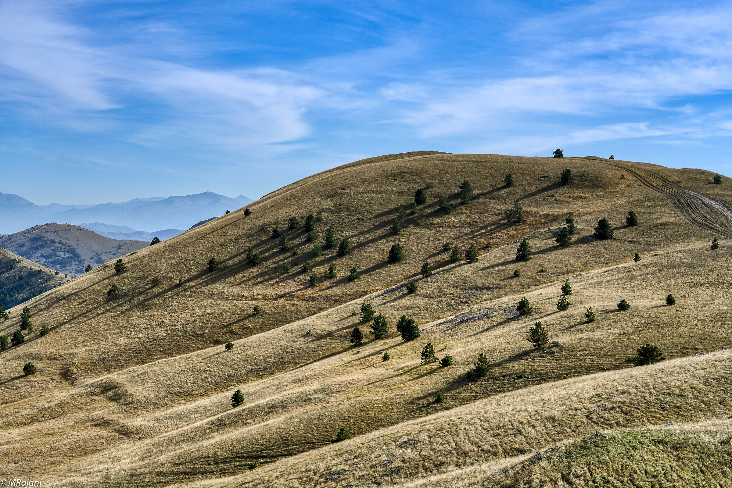 Autumn at Emperor's Field