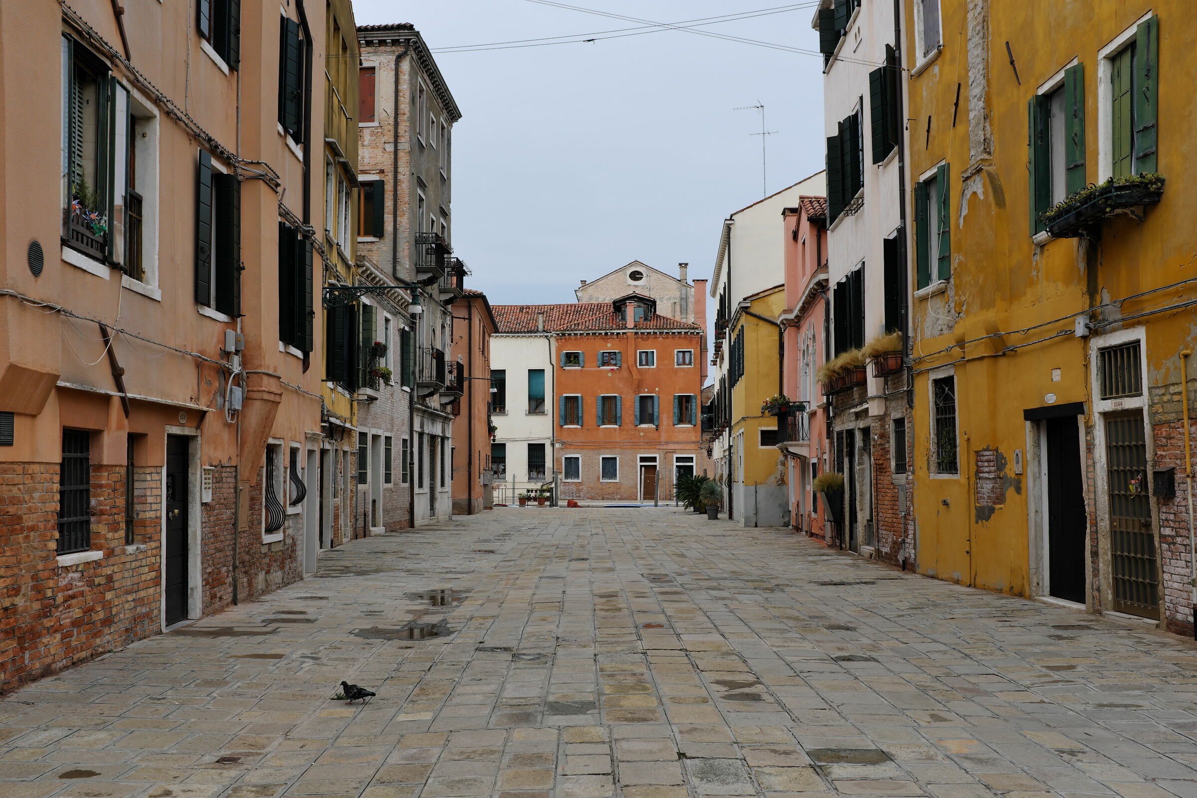 Venice's street