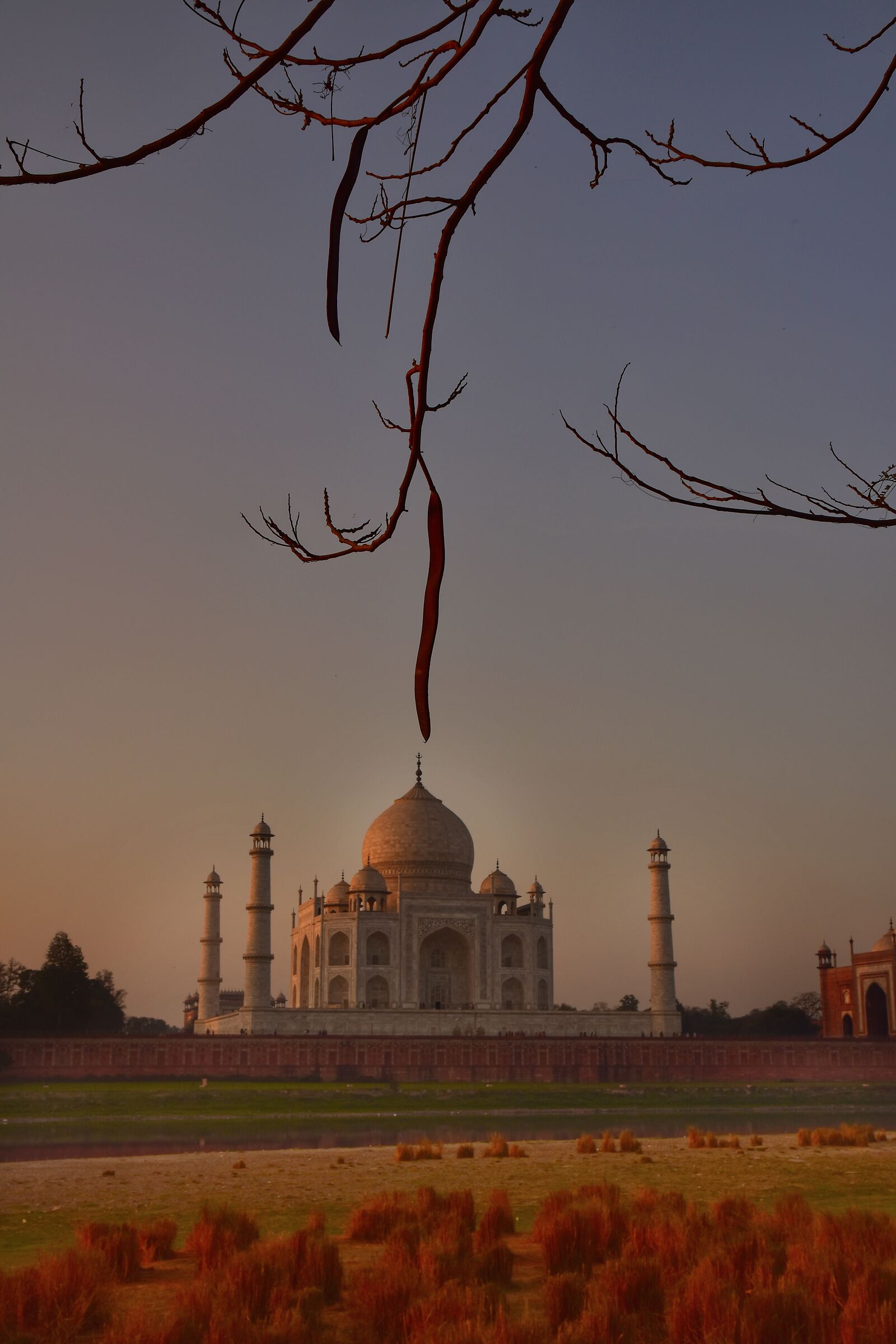 taj mahal all'alba
