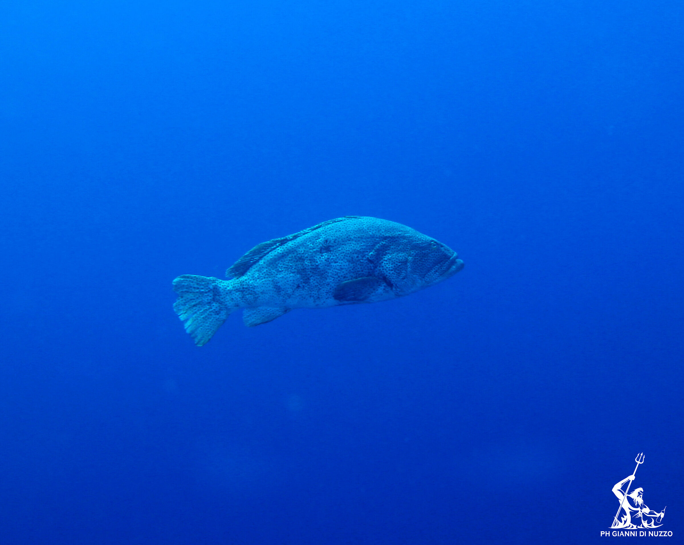 50 kg e non sentirli