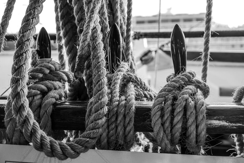 There are many. Nodes