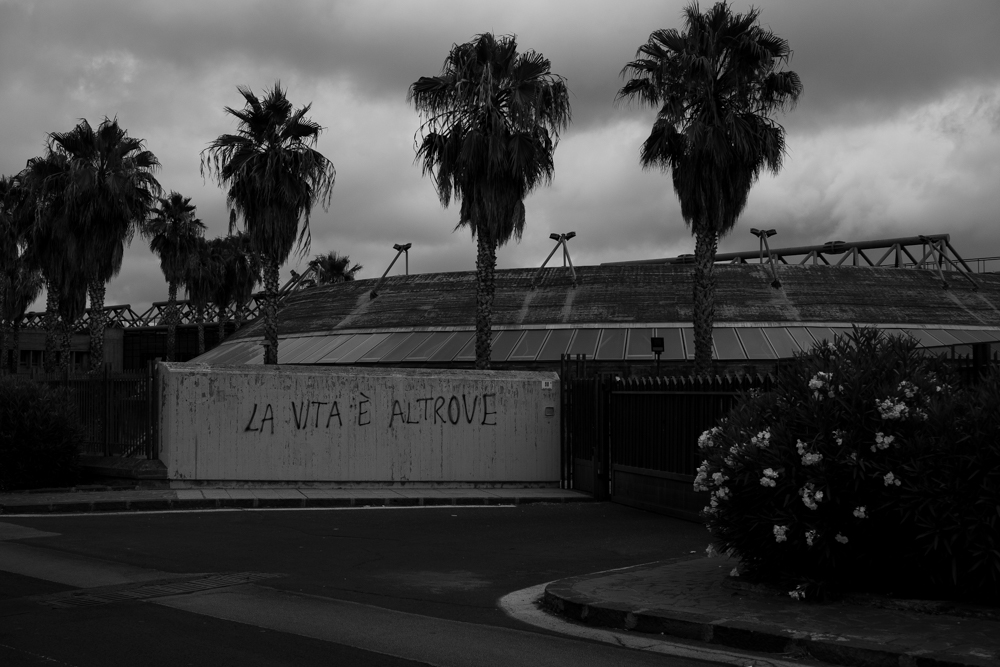 We study, we work, we get busy. But do we live life?