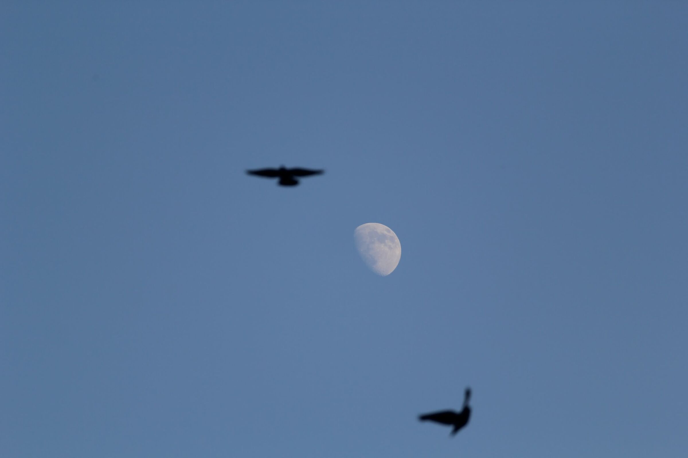 The anomalies are wonderful