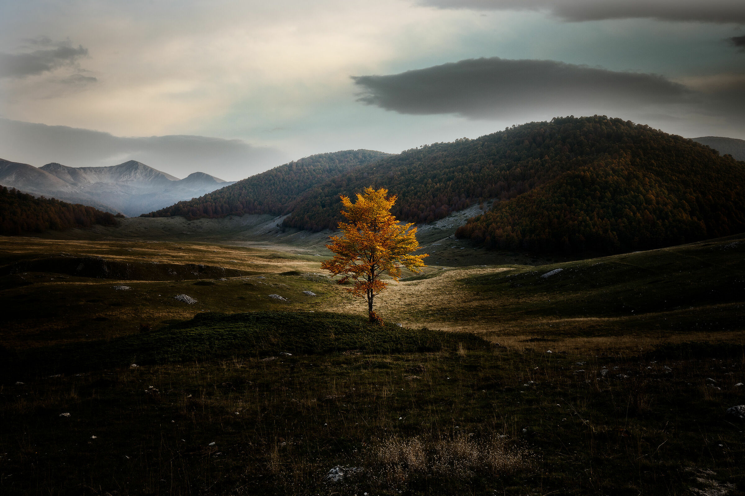 La piana di Terraegna