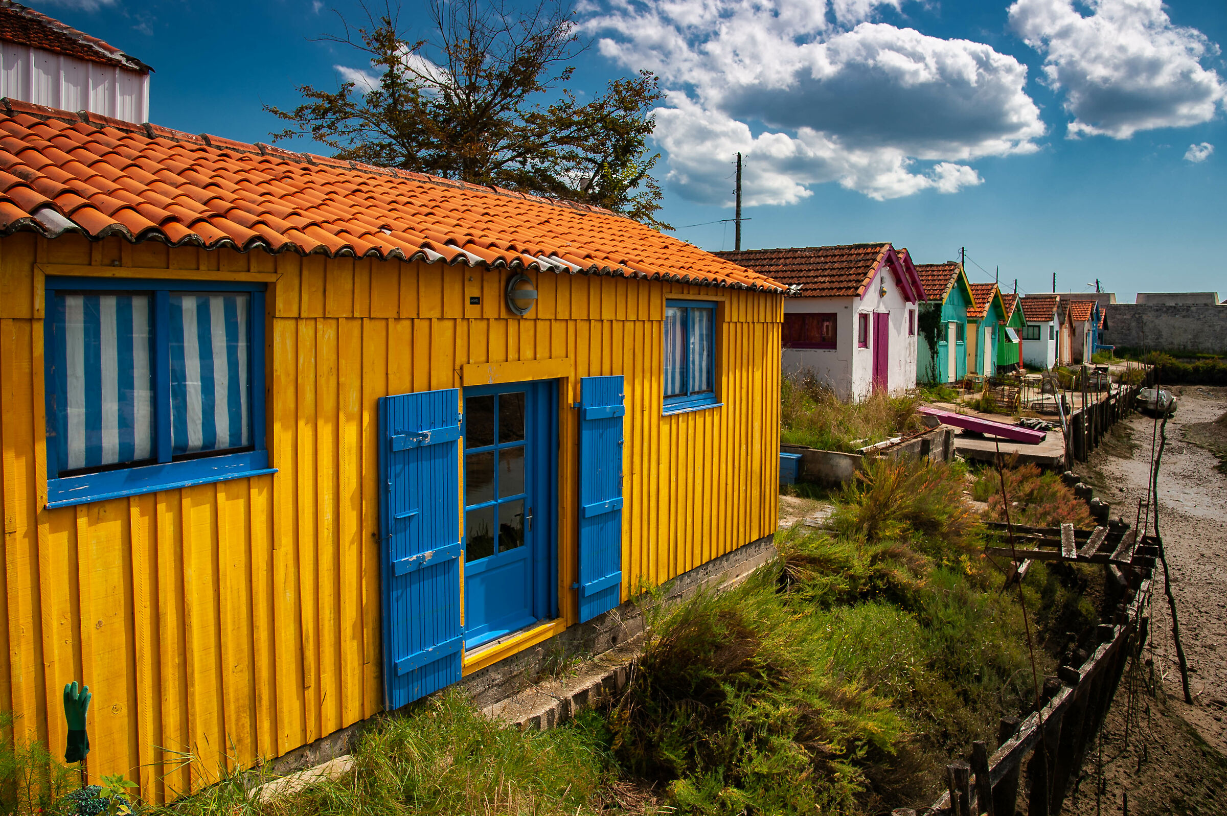 Il colore dei pescatori
