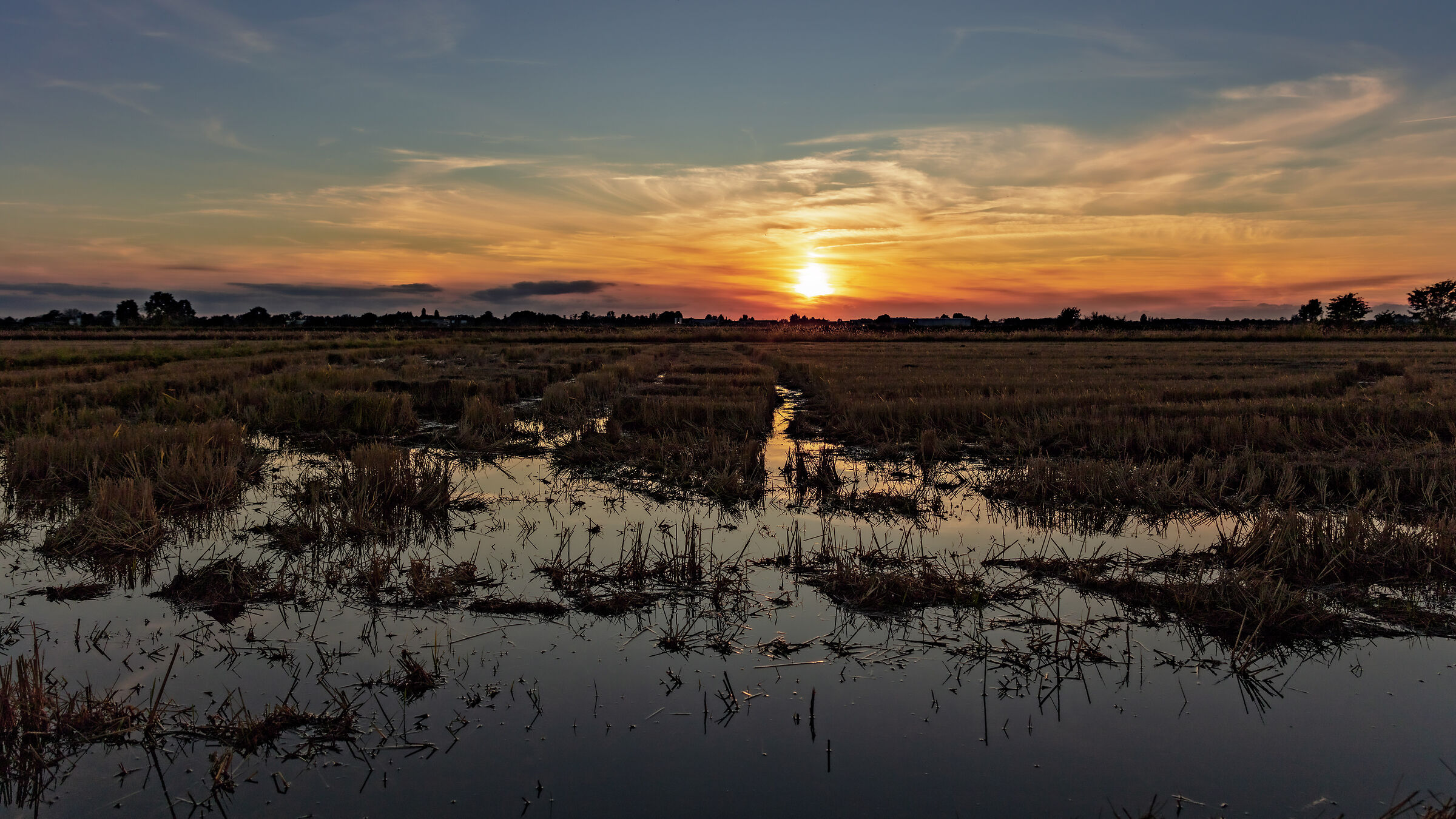Tramonto in risaia