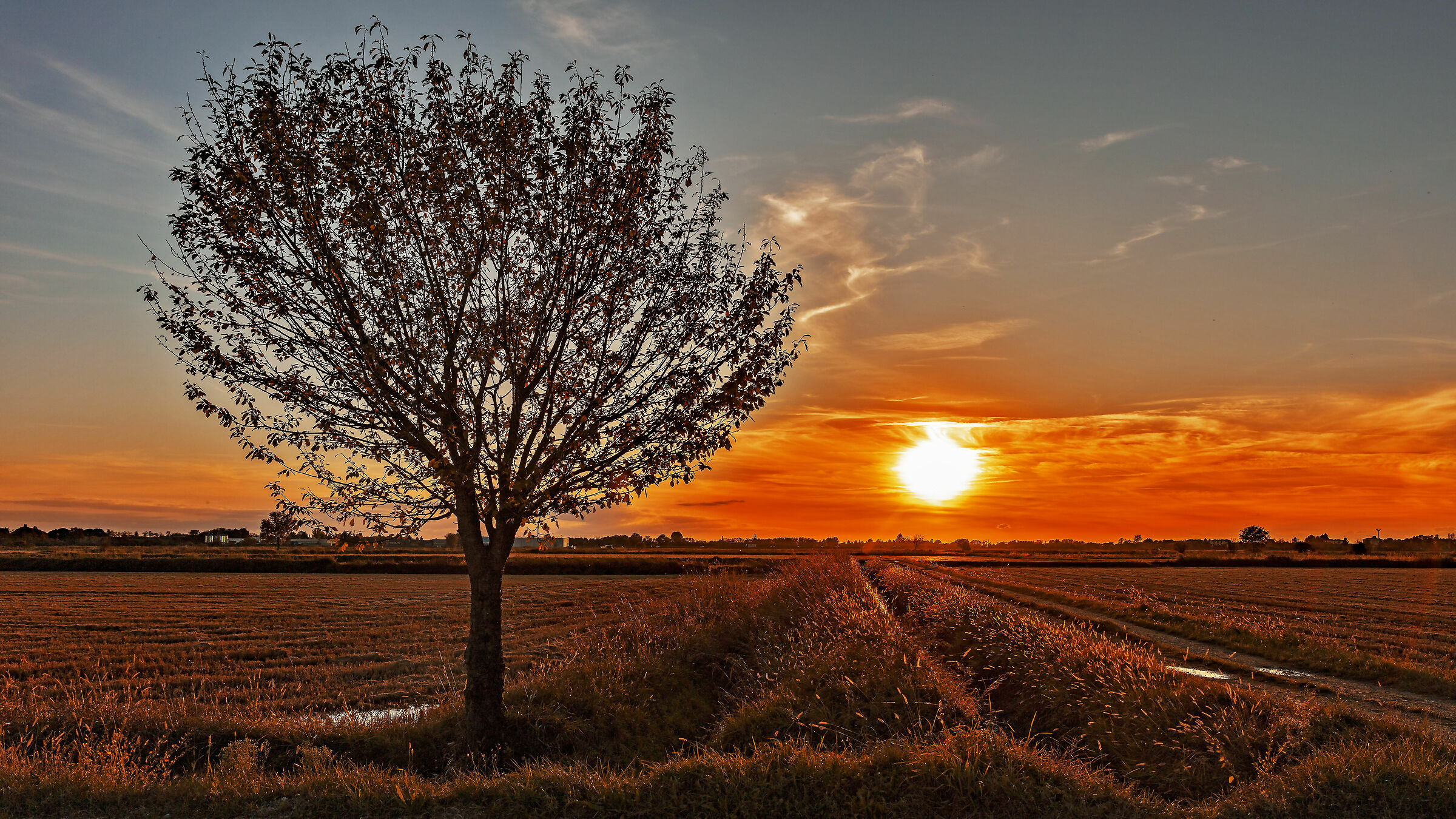 Red evening good weather hopefully