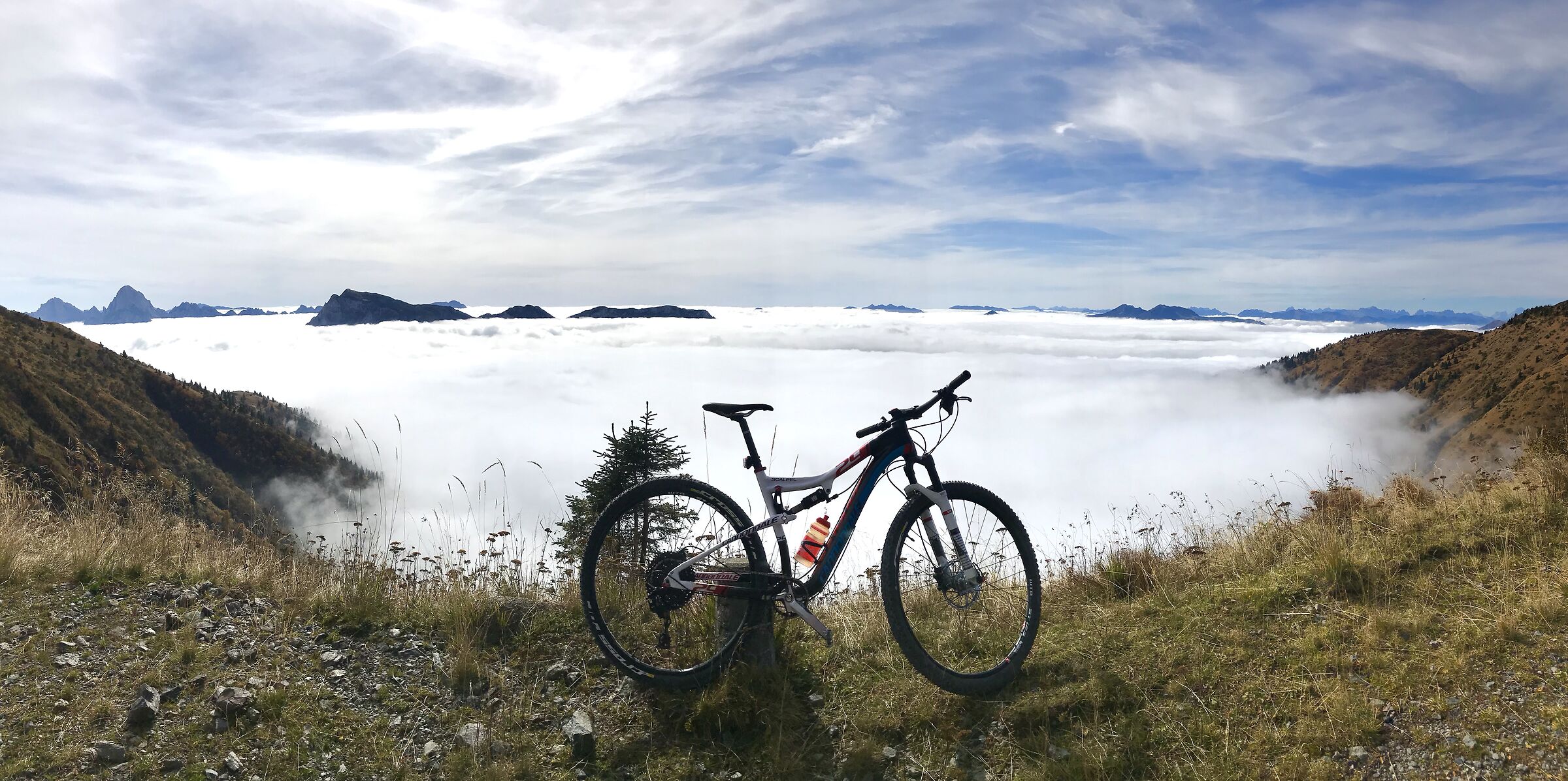 Above the clouds