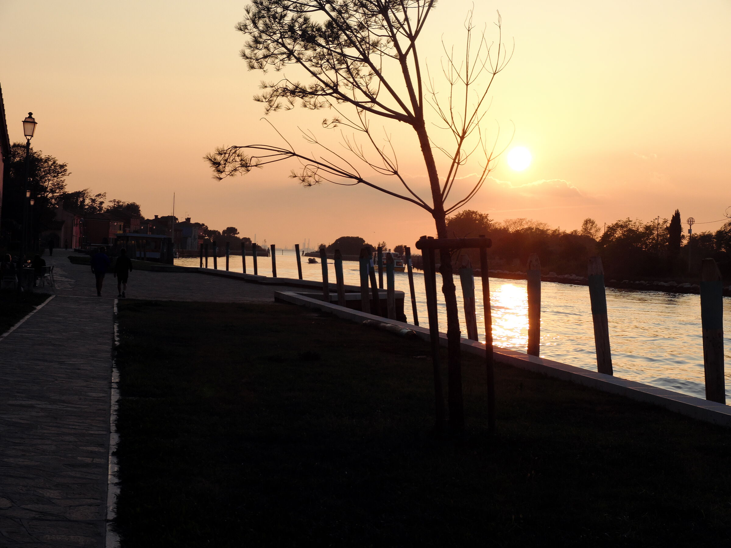 Isoladi Mazzorbo laguna di Venezia