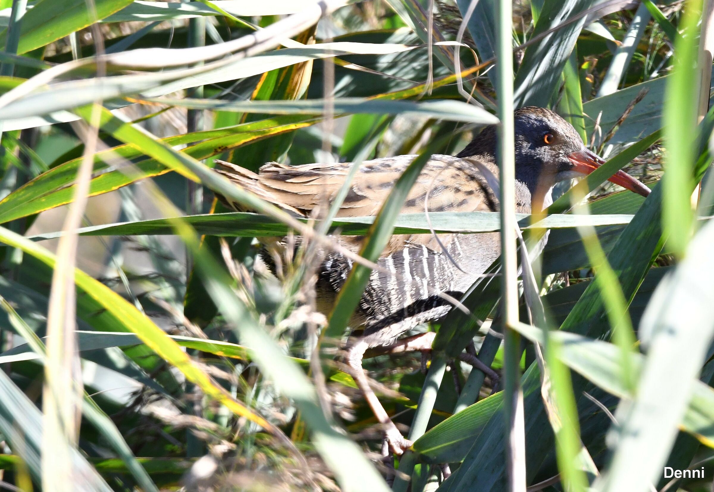 he was holed up for good