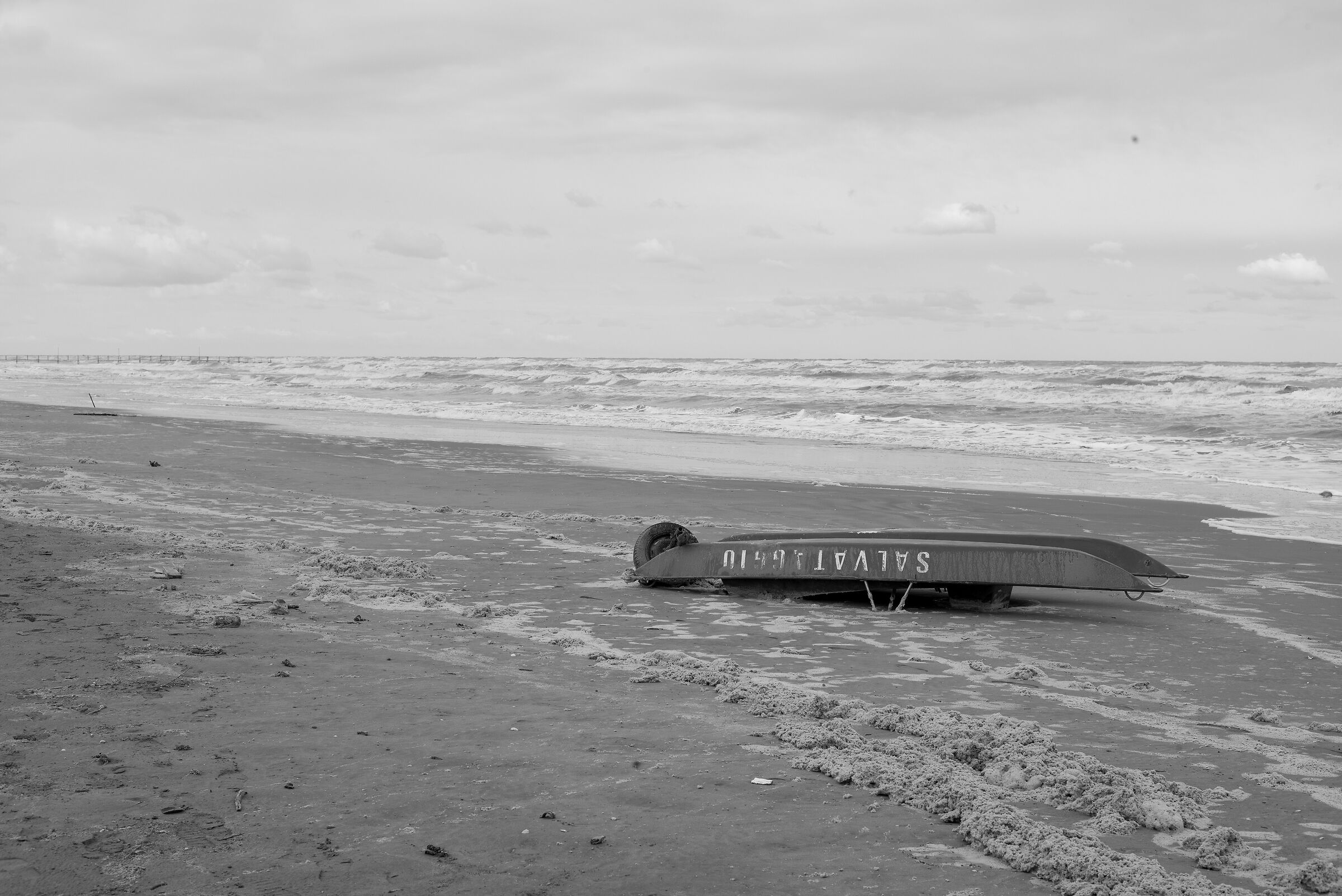 Leica Monochrom