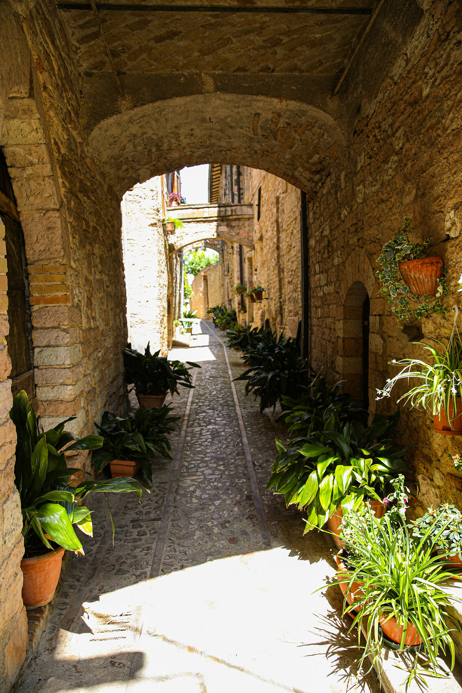 Spello- downtown alley