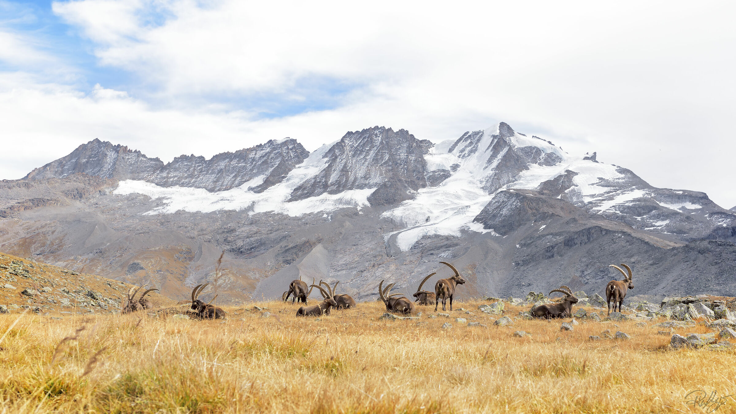 Siesta at the foot of the Great Paradise