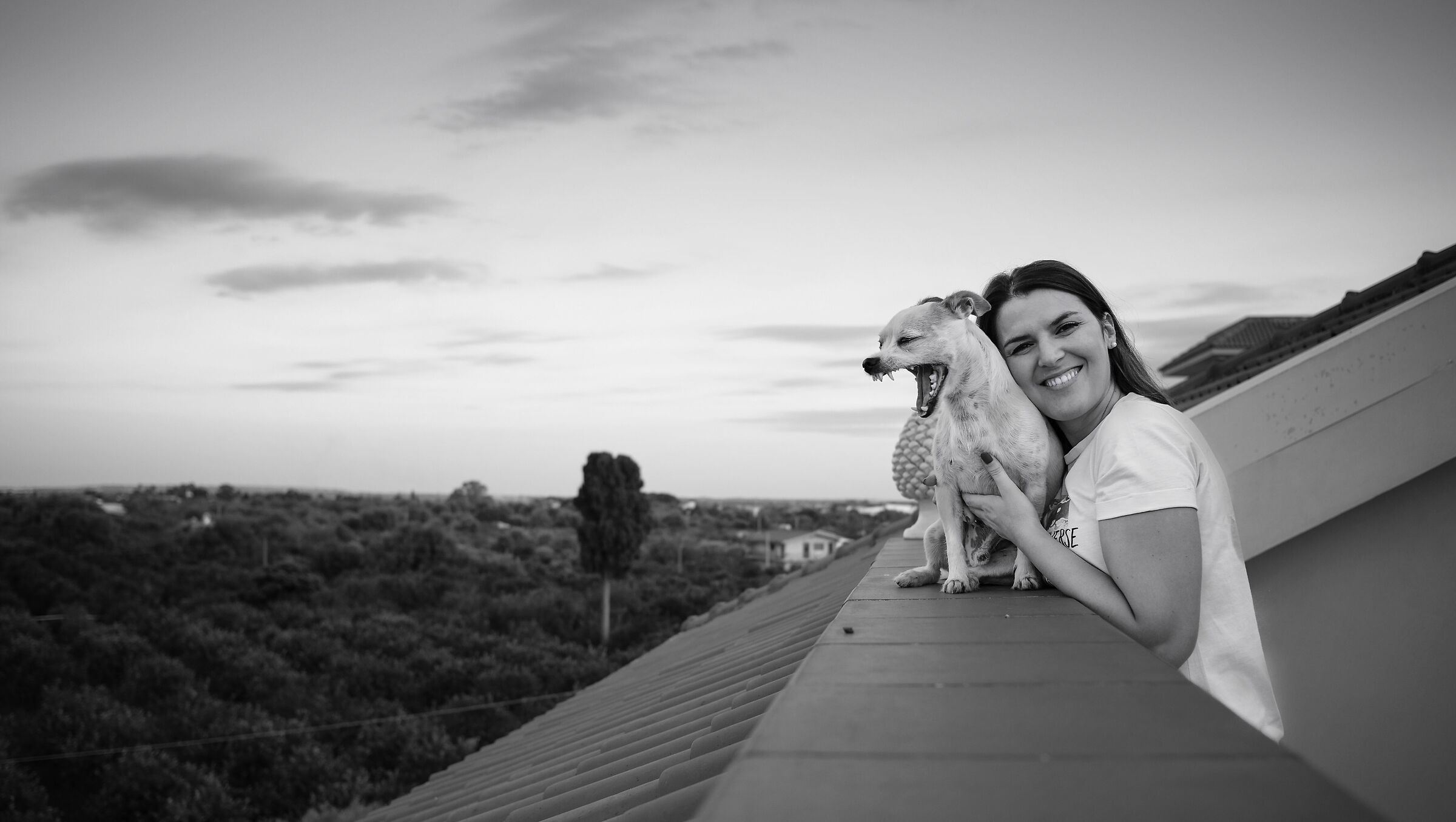 il mio cane quando gli chiedo di sorridere..