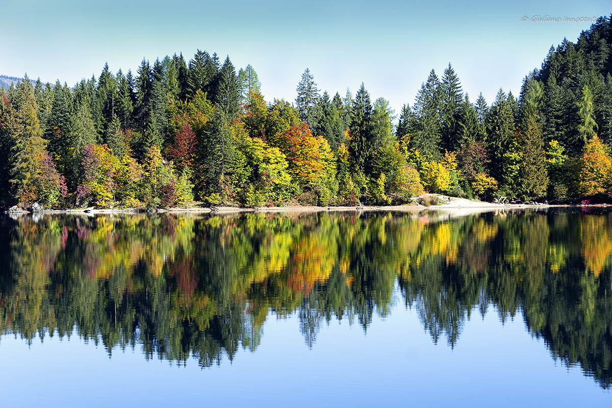 Eco cardiogramma d'autunno