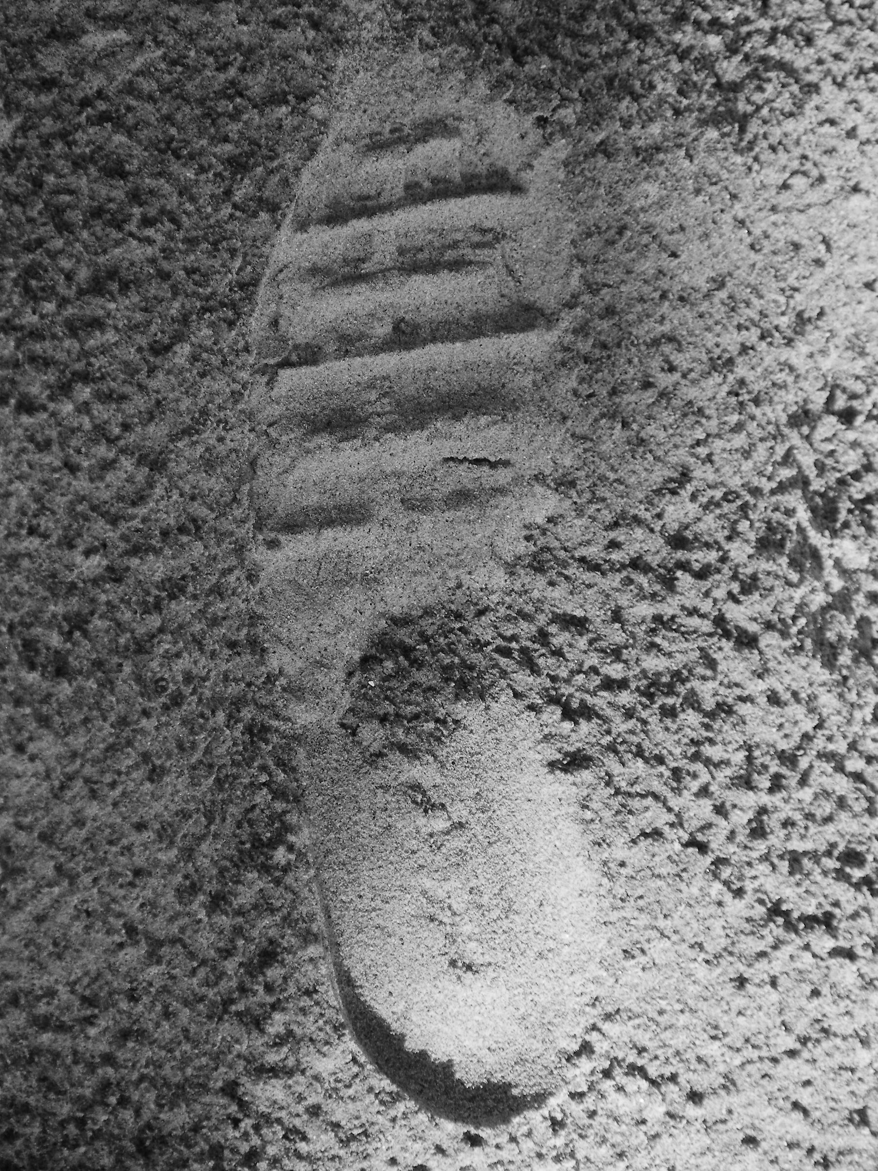 The Skinny Astronaut