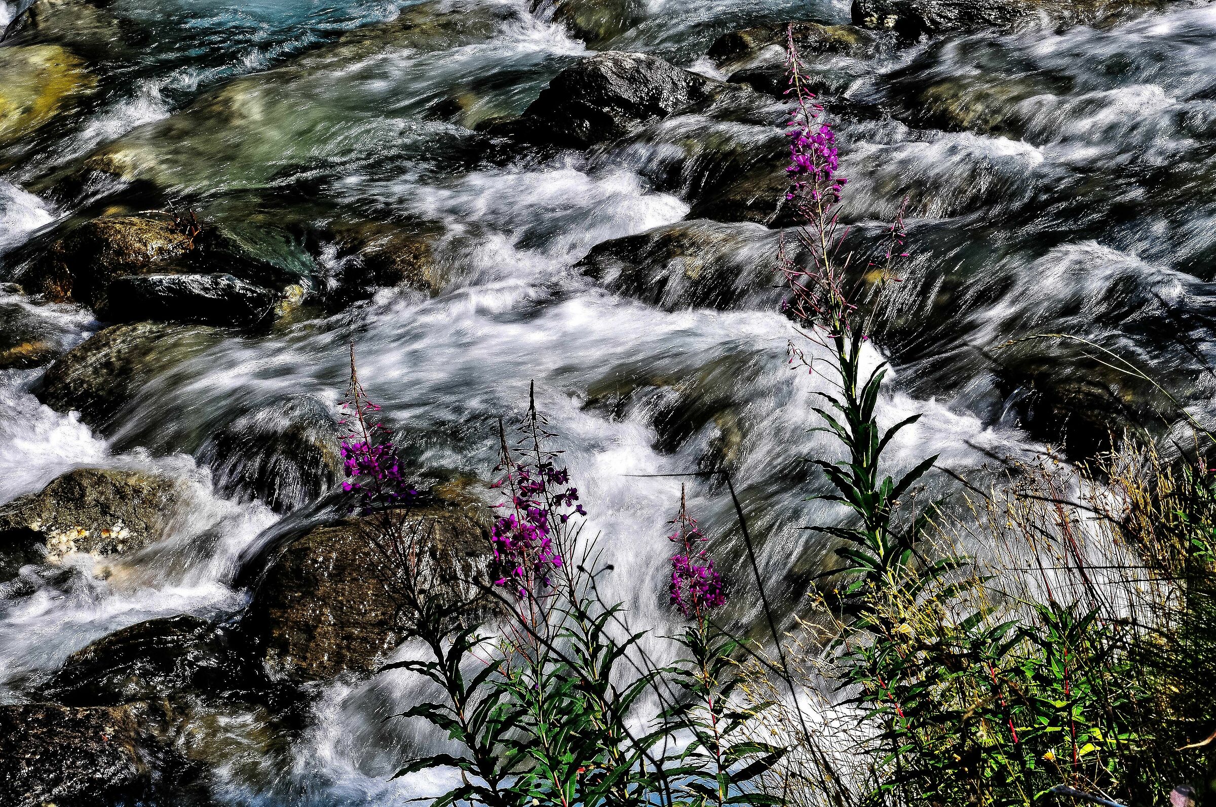 the strength of water 1