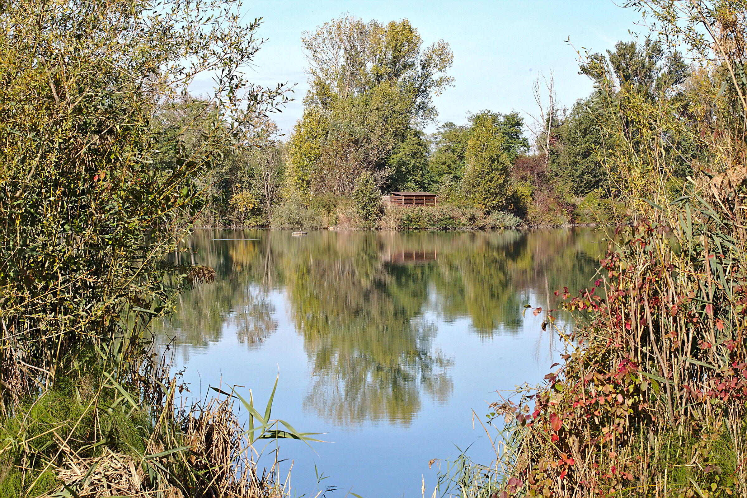Sant'Anna Ponds