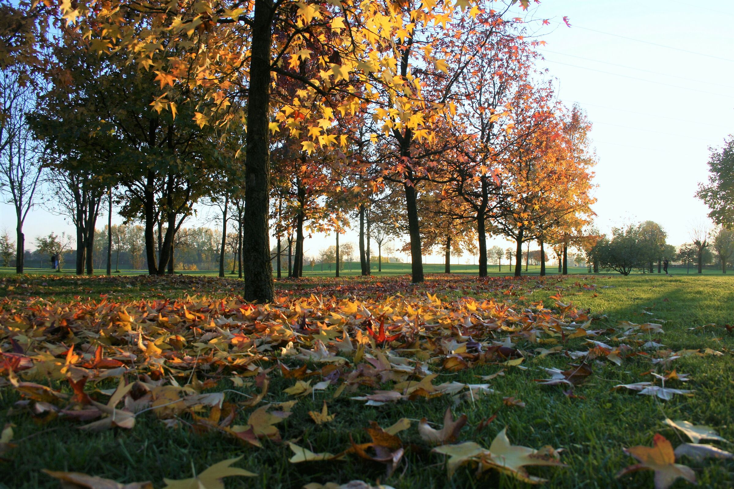 An autumn afternoon at the Increa Park