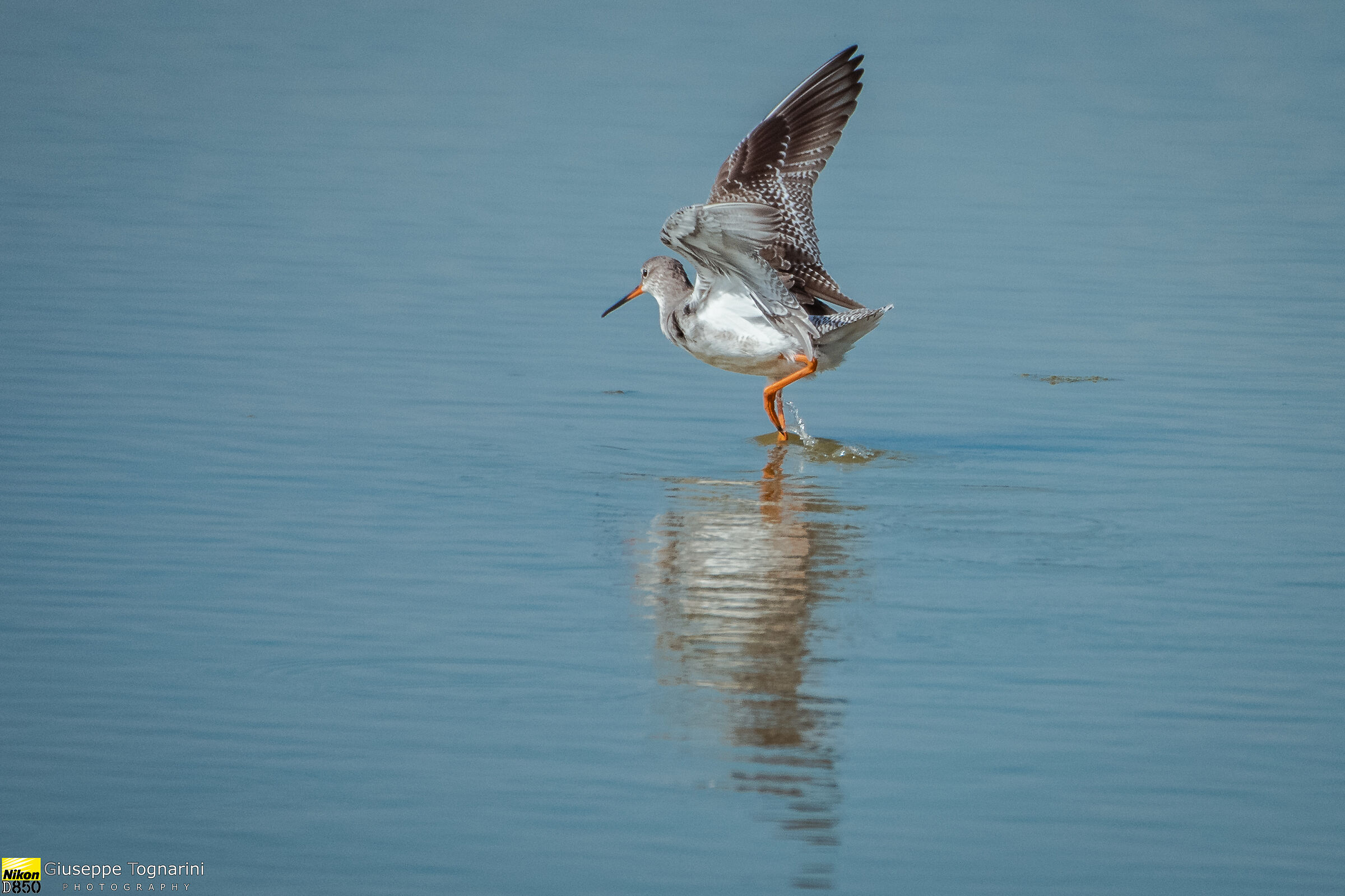 ammazza quanto è fredda!!!