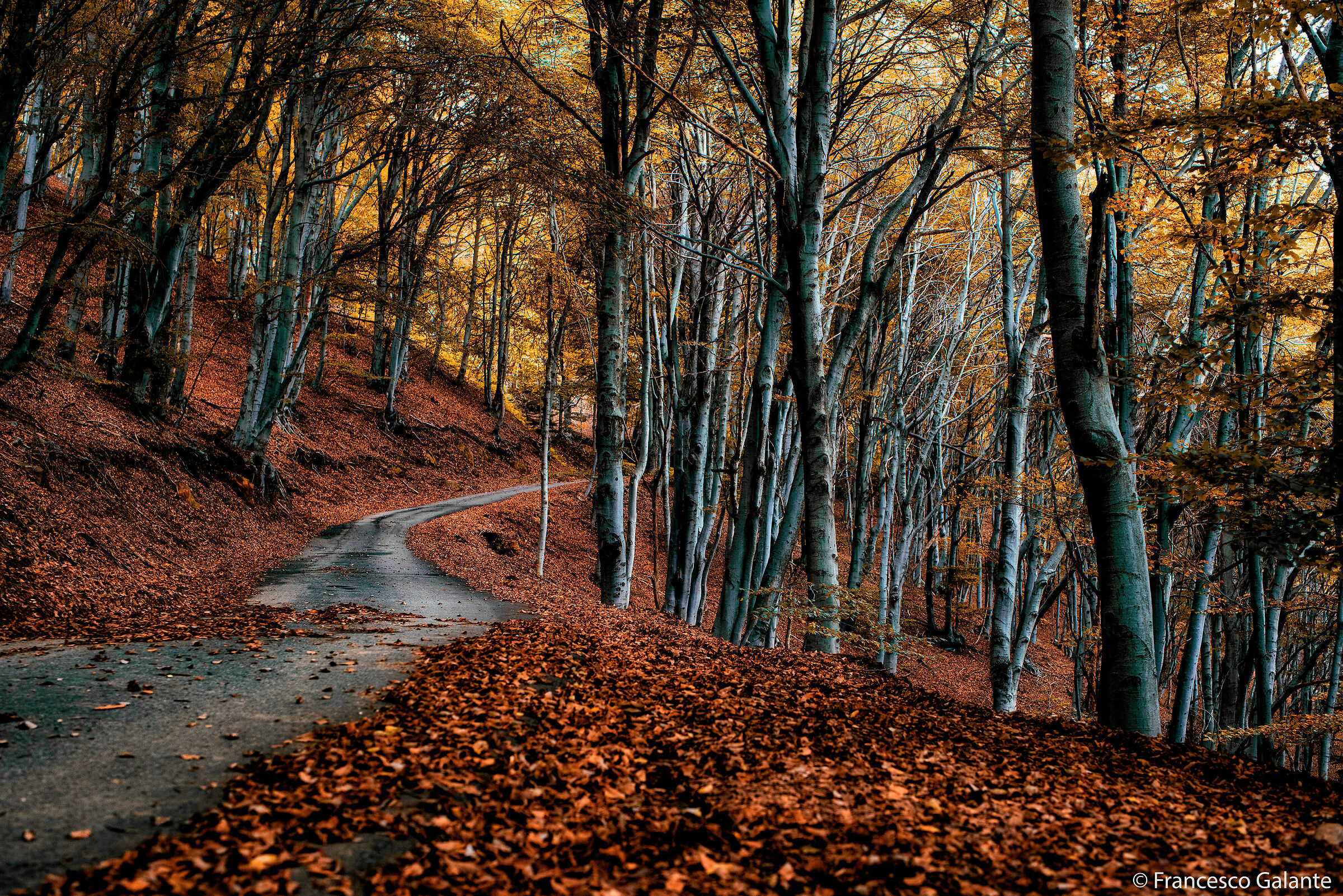 Foliage al Monte Tovo 2 - Borgosesia