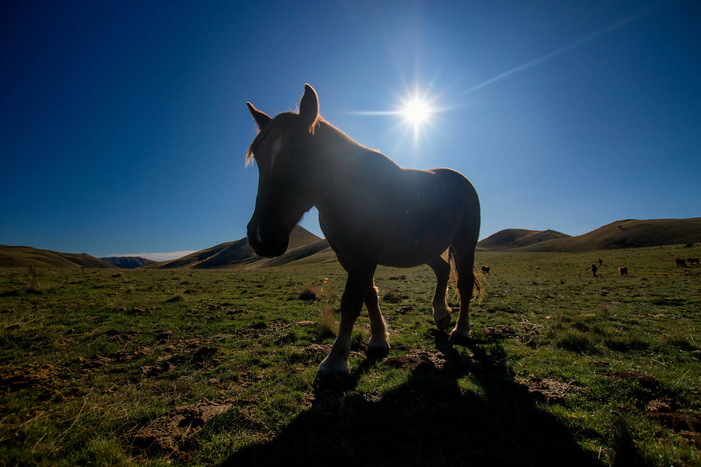Emperor's Camp, Abruzzo
