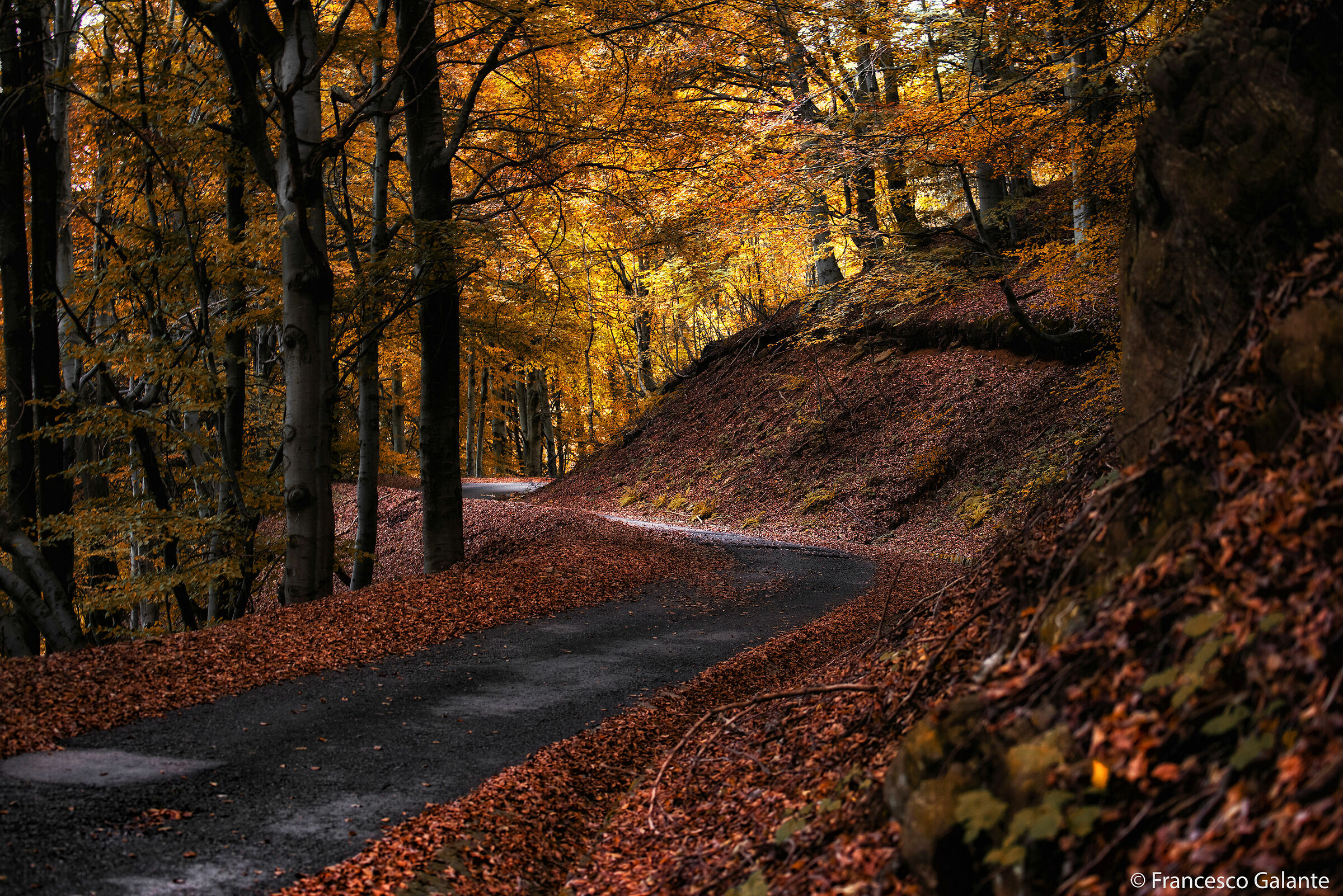 Foliage al Monte Tovo 3 - Borgosesia
