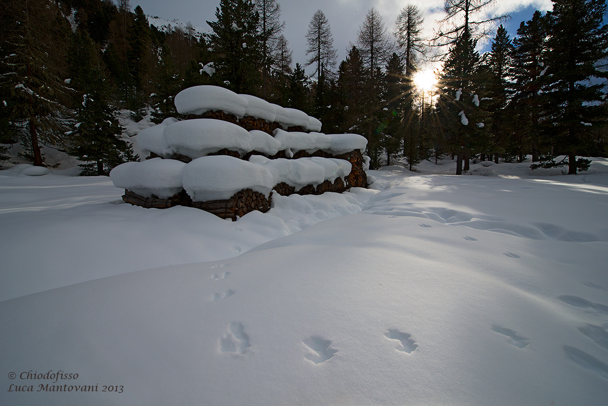 Legna sotto la neve