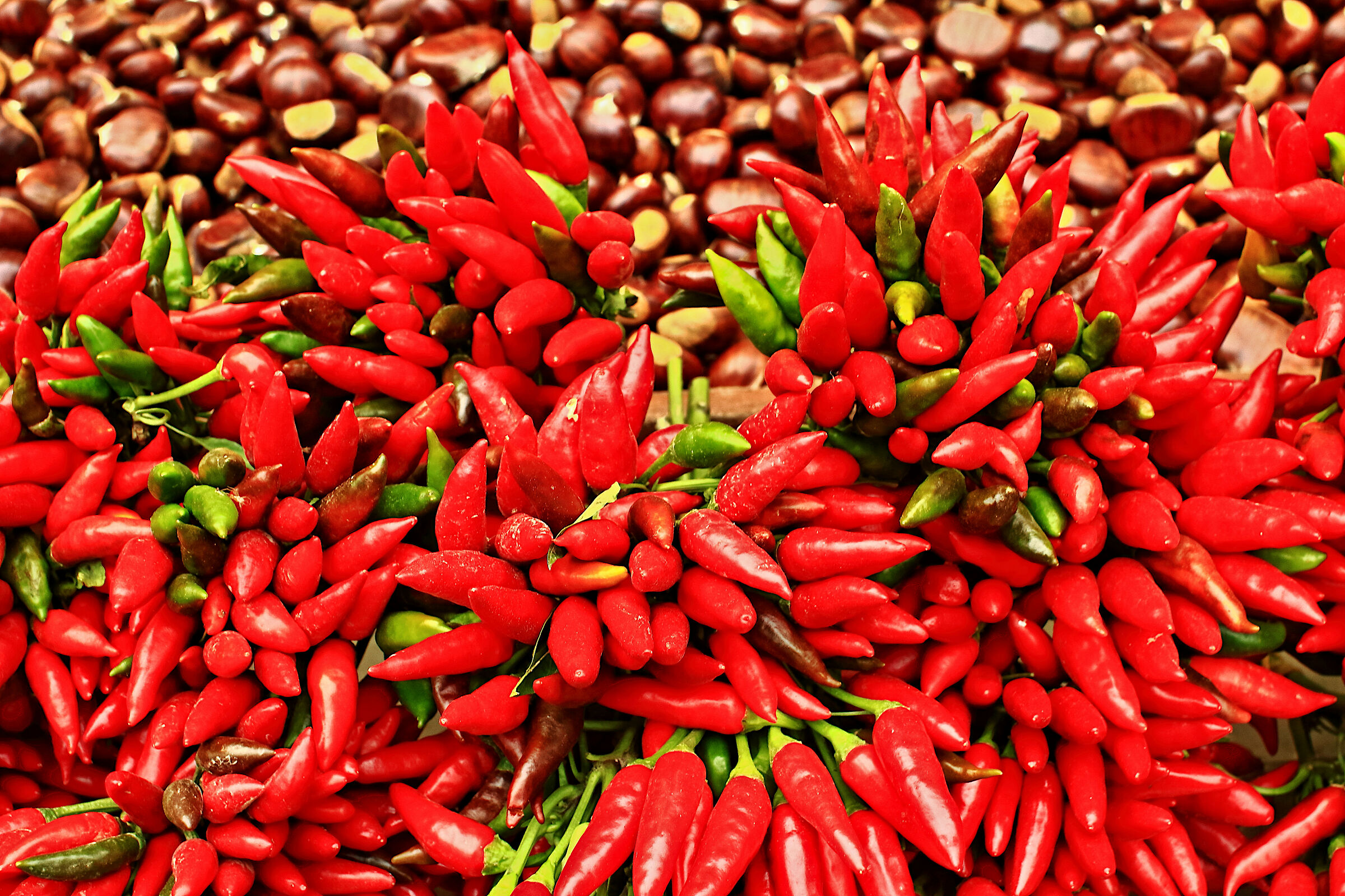 Chillies and more (Auction Market Square)