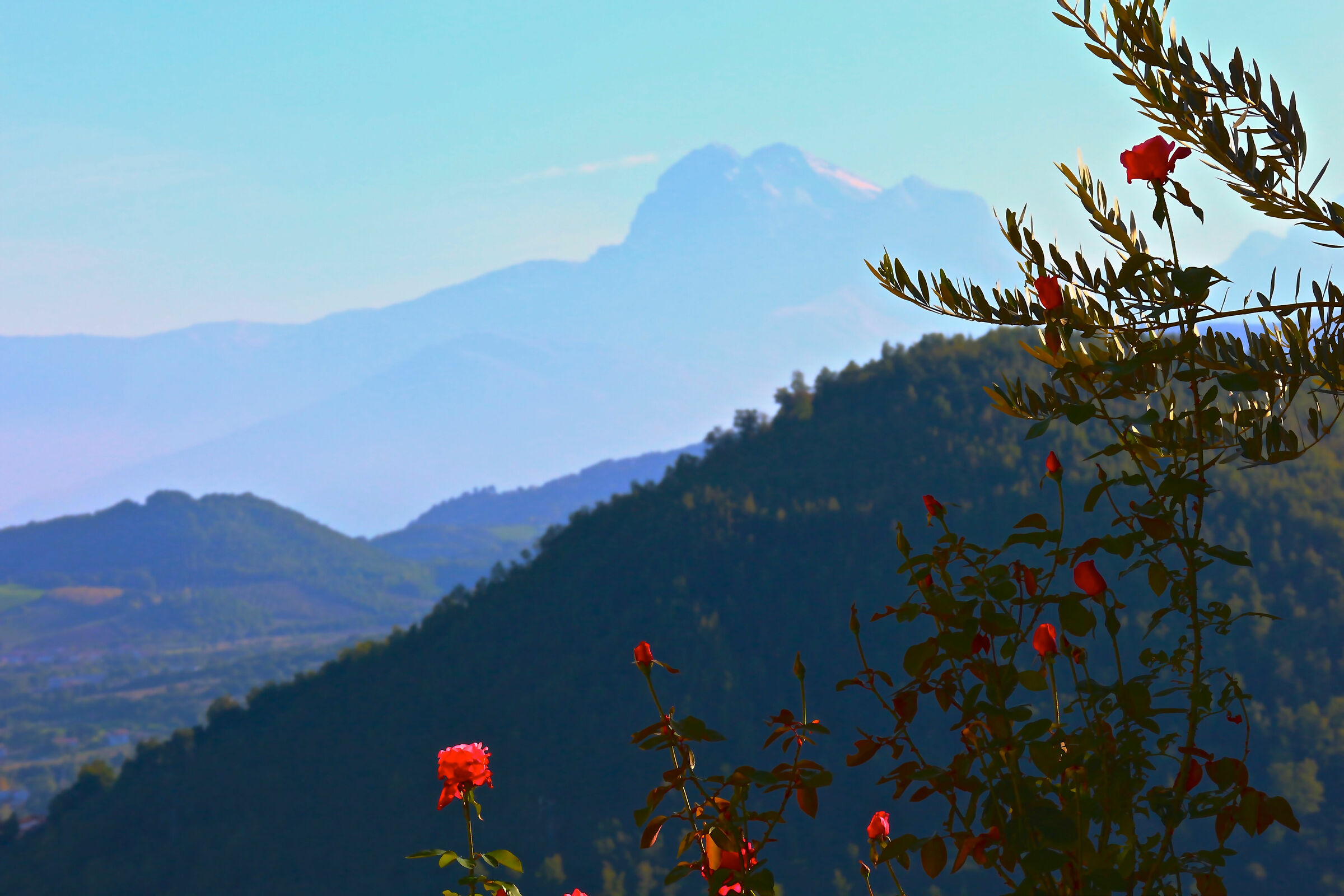 Uno sguardo "fiorito" sul Gran Sasso...