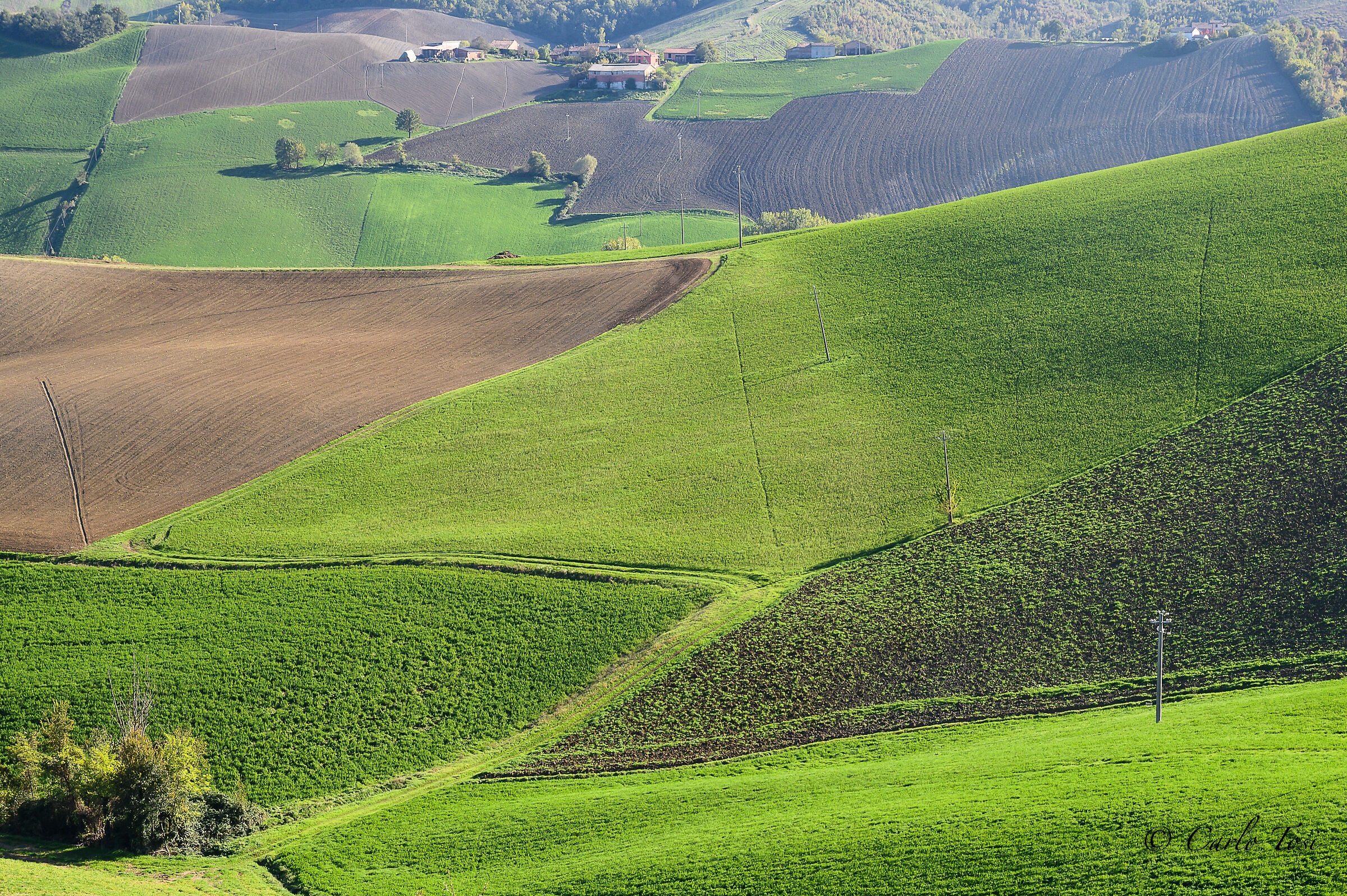 Campagna parmense in Ottobre