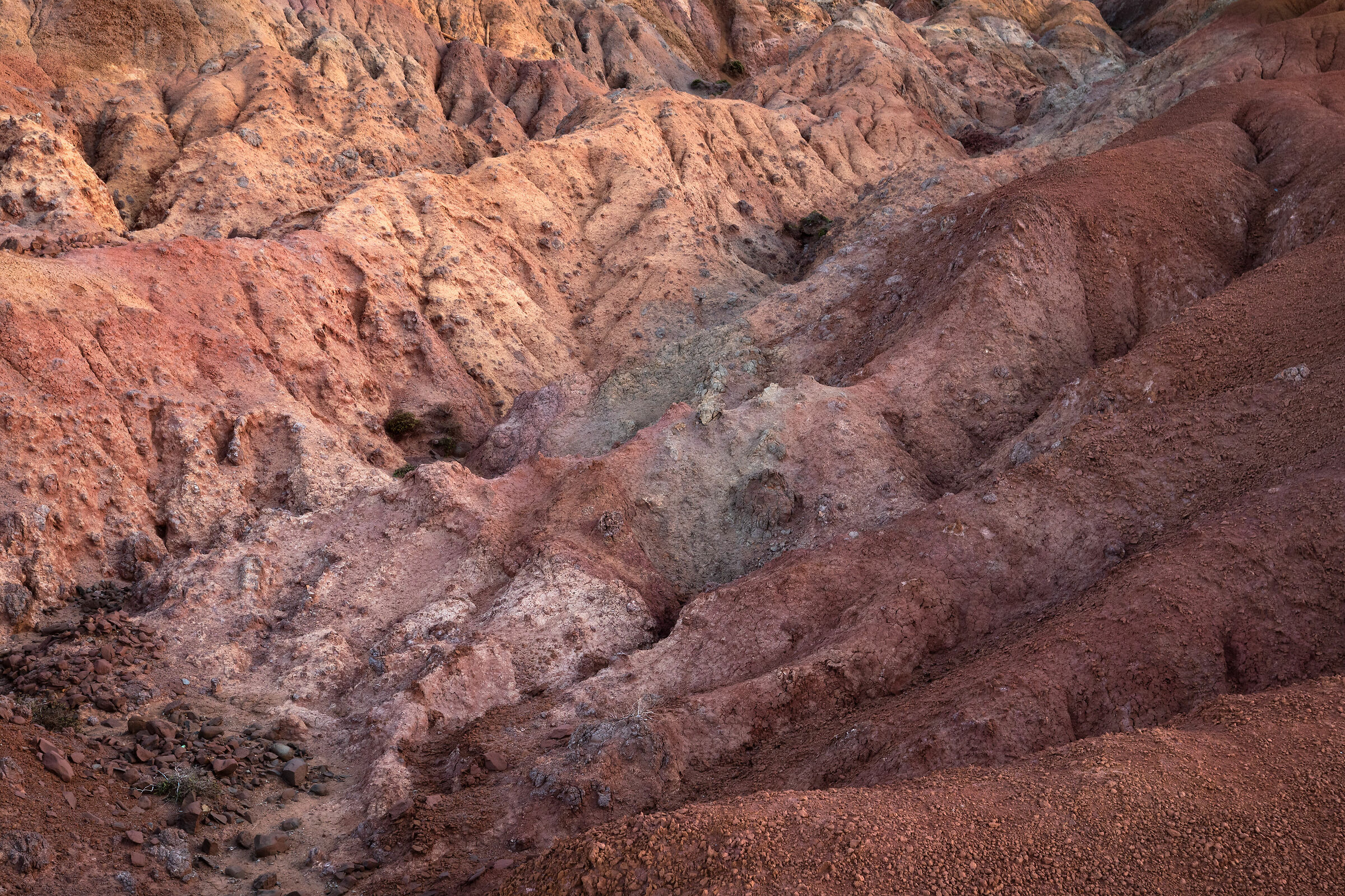 The Colours and the Shapes