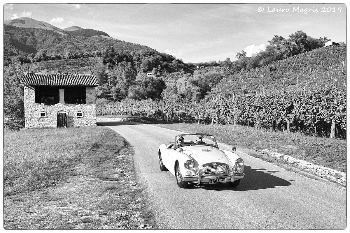 100 Miglia ed.2019 - MG A  (1956)
