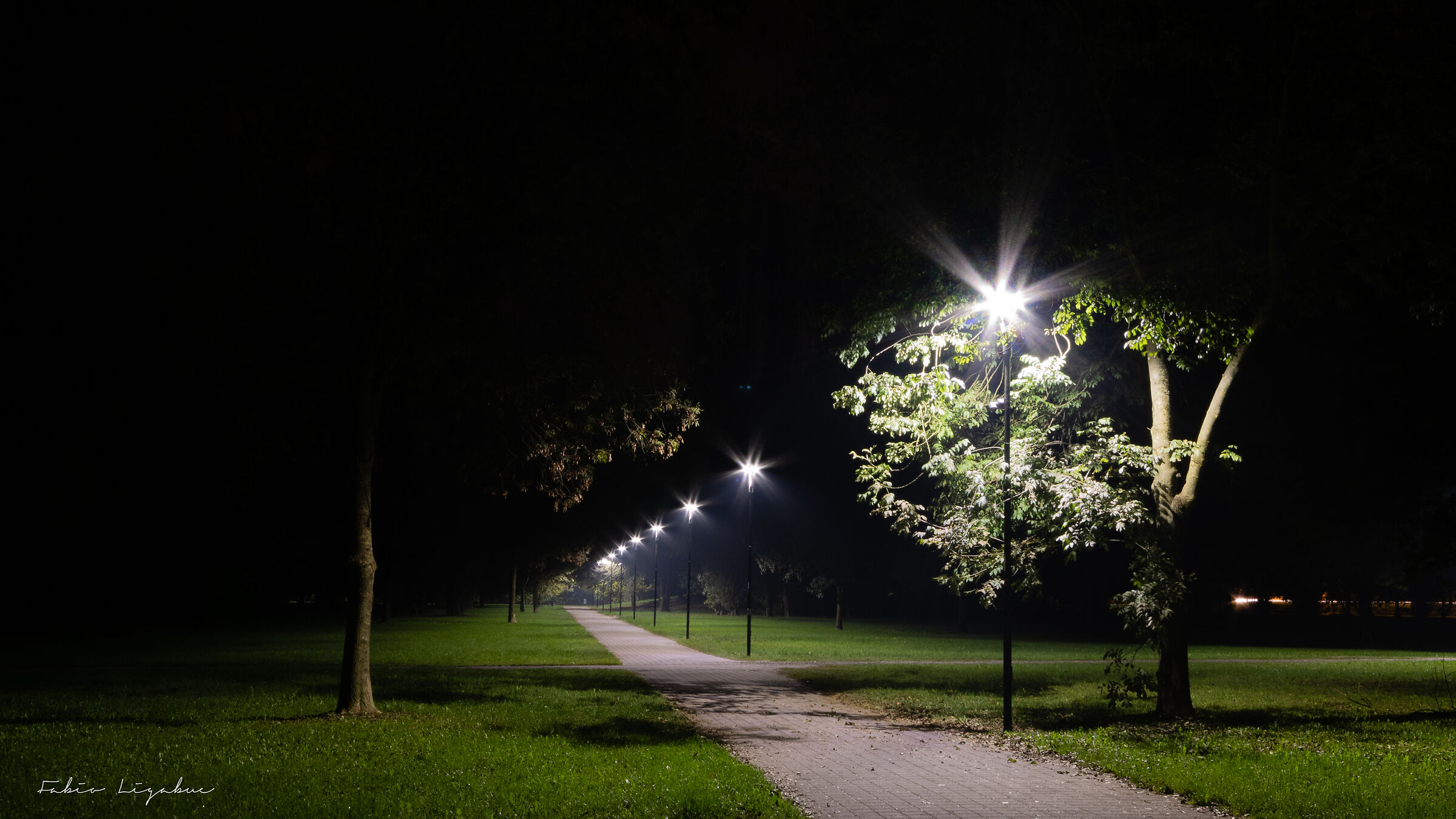 Park at night