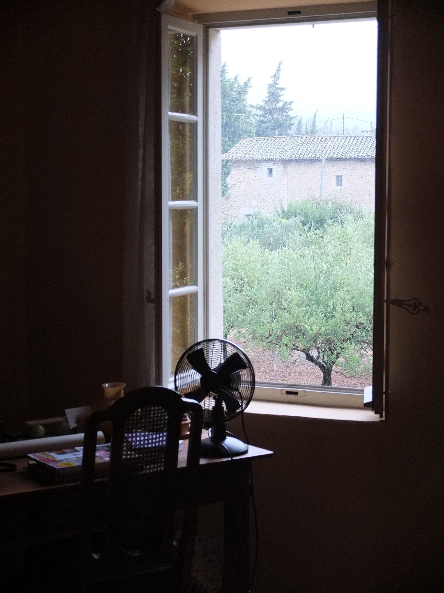 Rainy summer afternoon