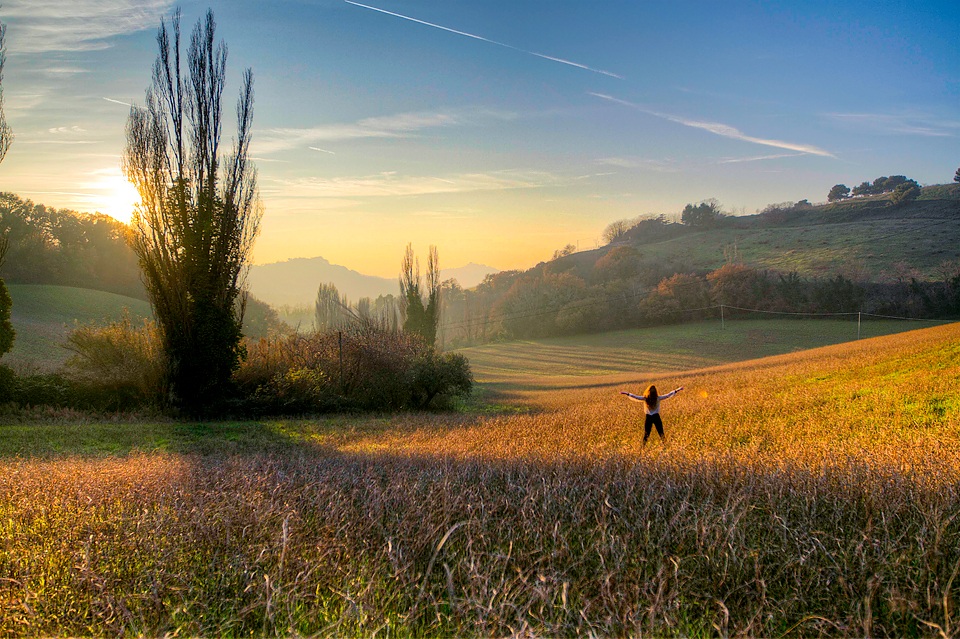 il mondo di veronica