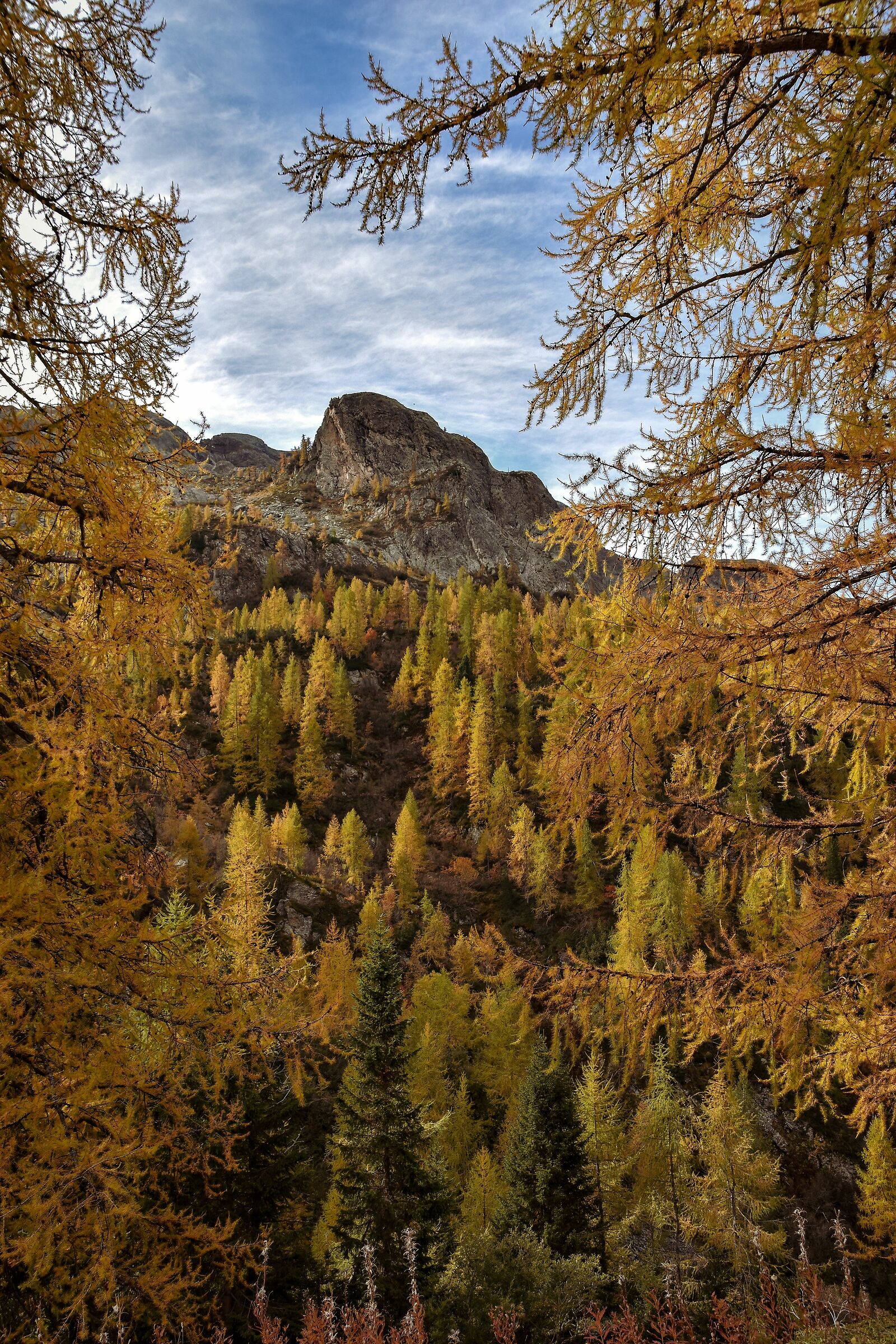Tutto si colora di giallo