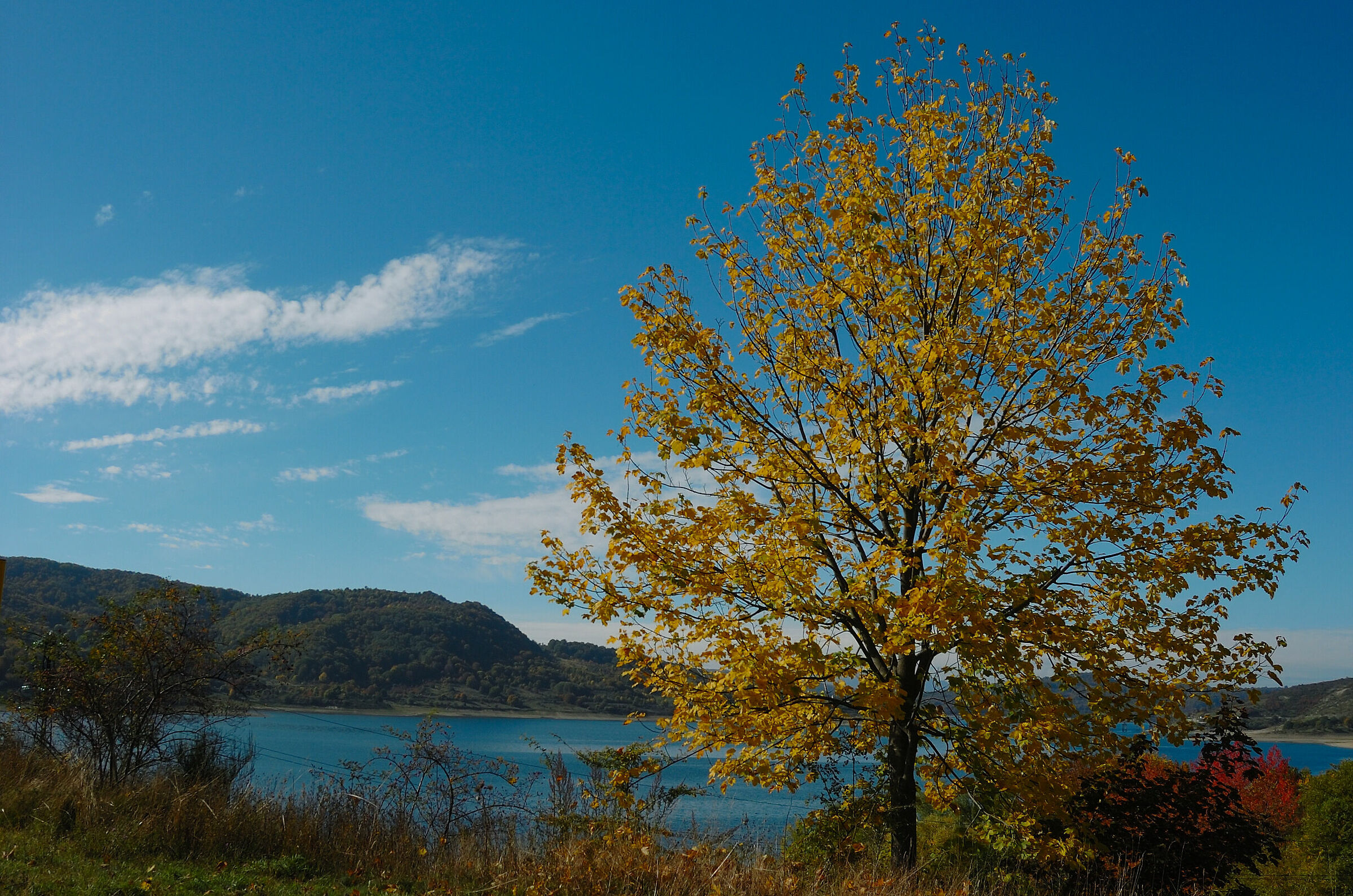 Lago autunnale