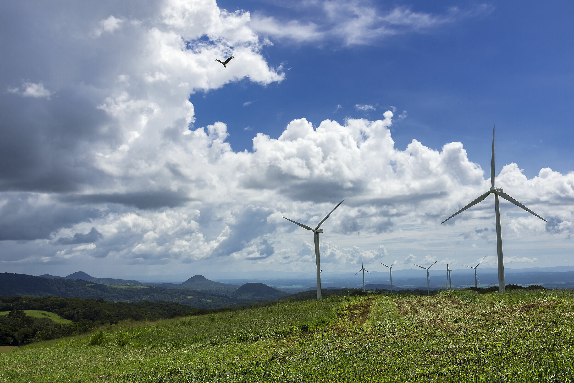 Eloic skids and volcanoes