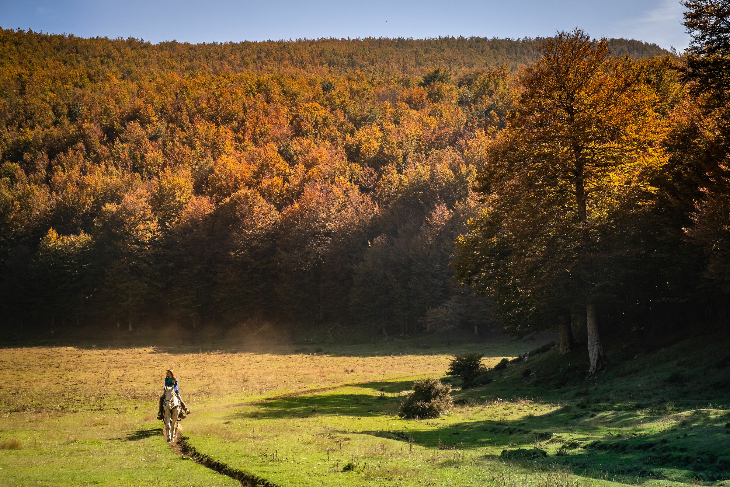 Nel parco del terminio