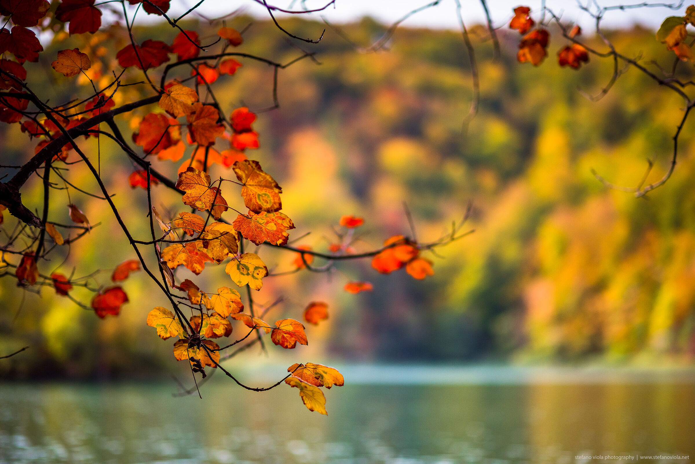 Autumn