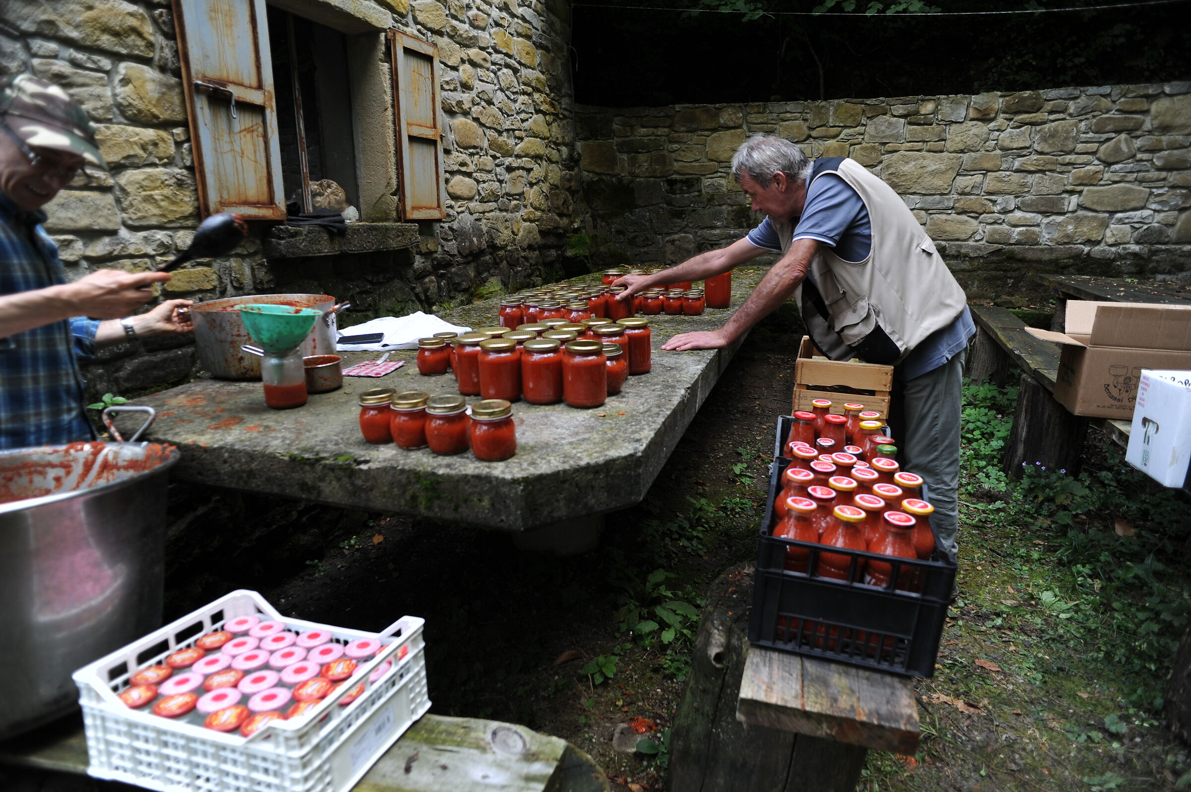 Tomato campaign 2019