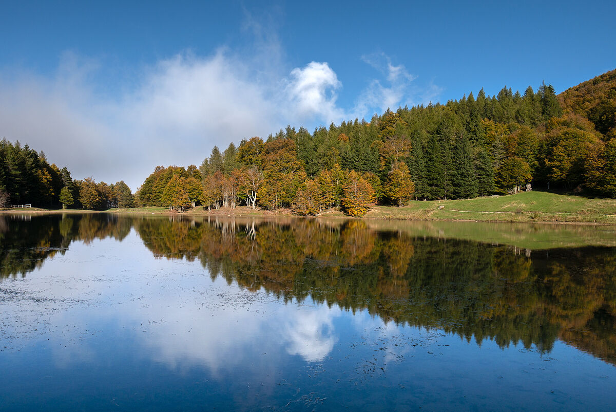 Lake Calamone, almost autumn