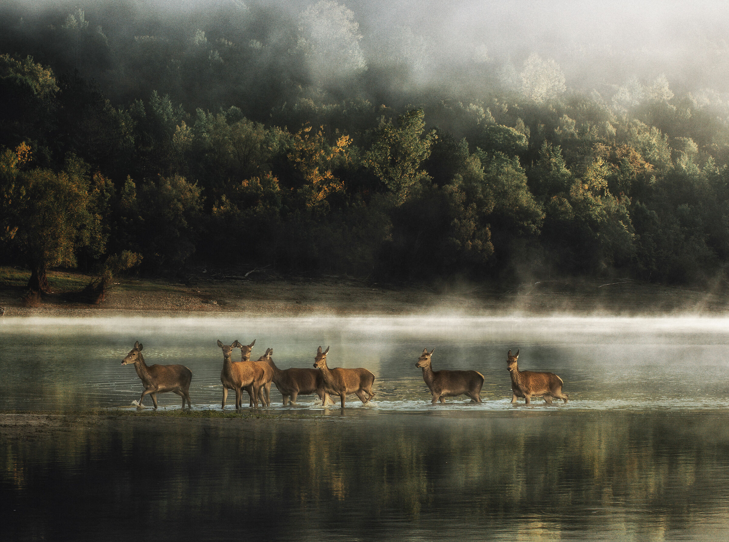 The Painting - Lake Barrea