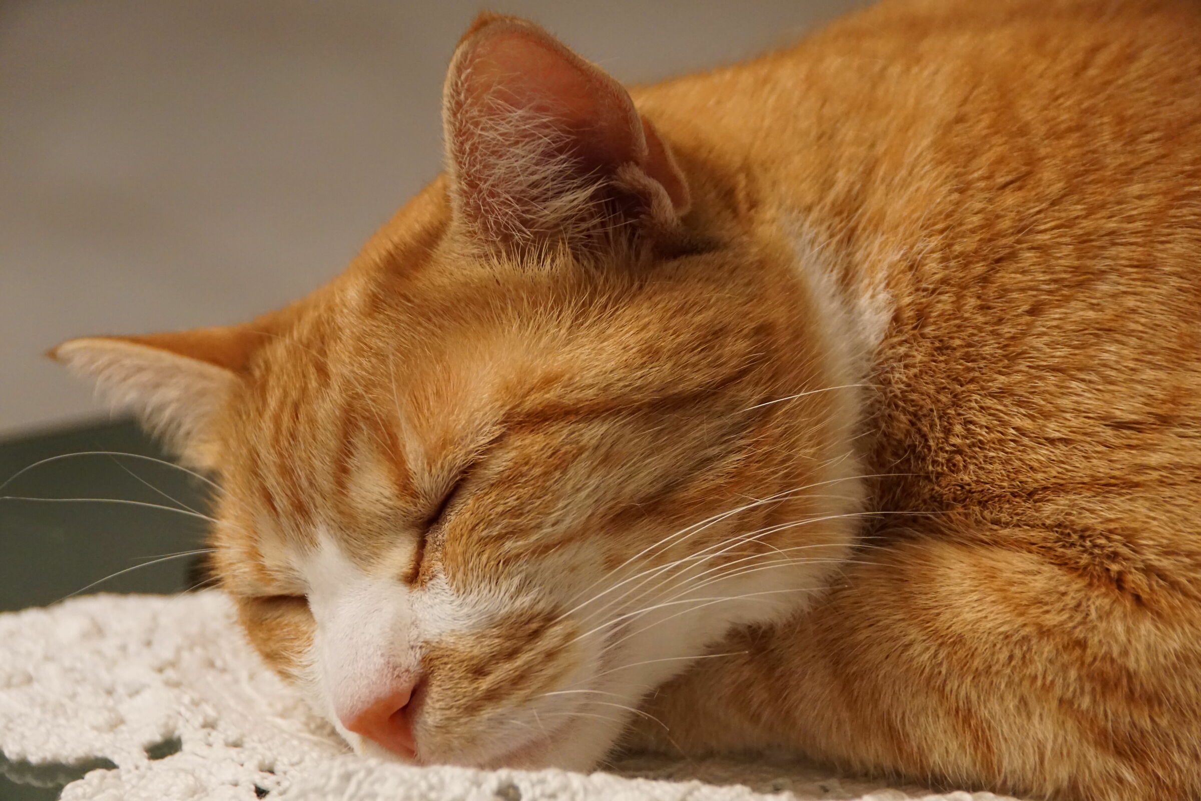 Per favore usa lo scatto silenzioso che devo dormire